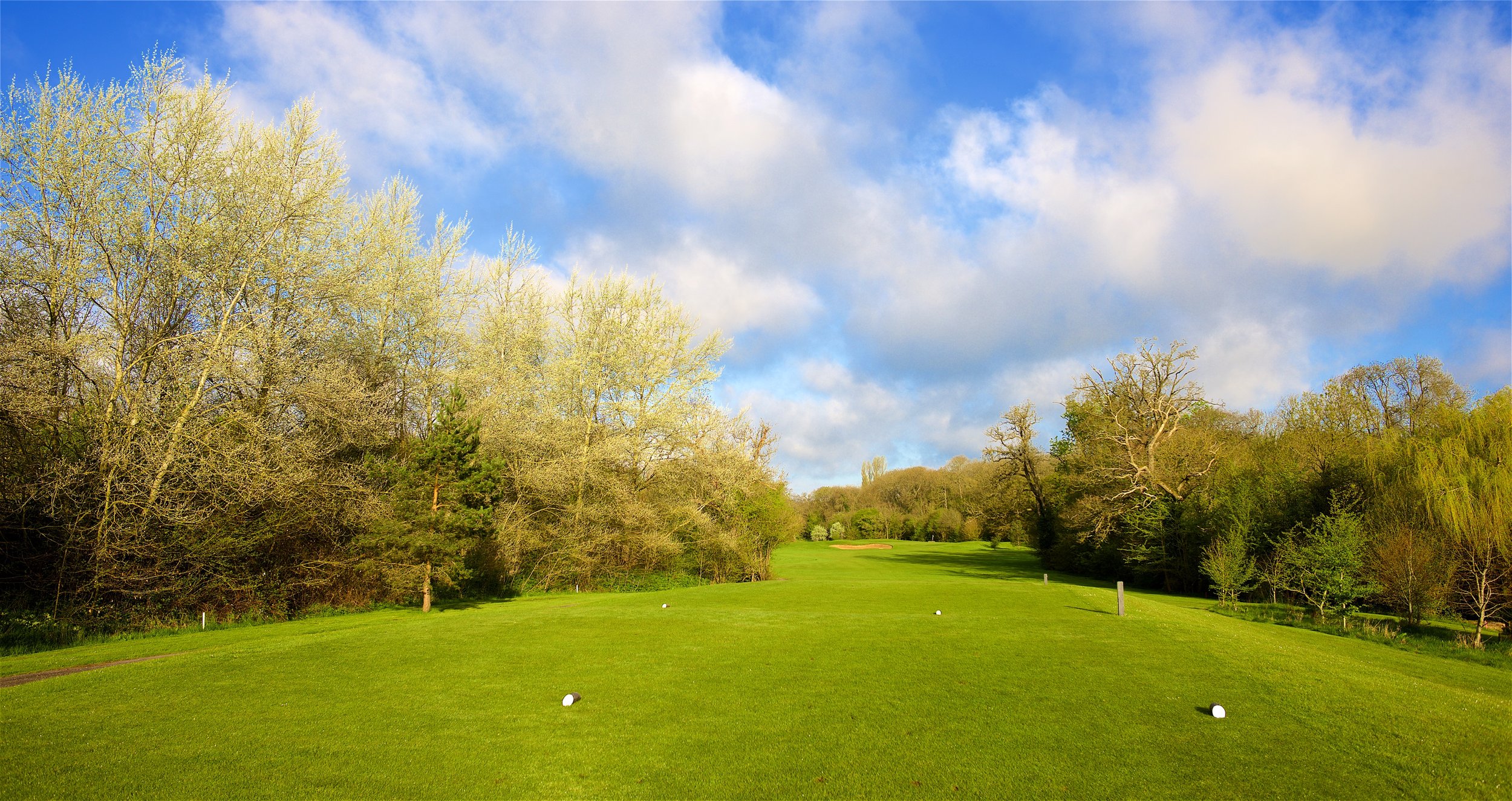 A picturesque golf course with bright green grass, surrounded by trees under a partly cloudy sky with blue and white clouds.