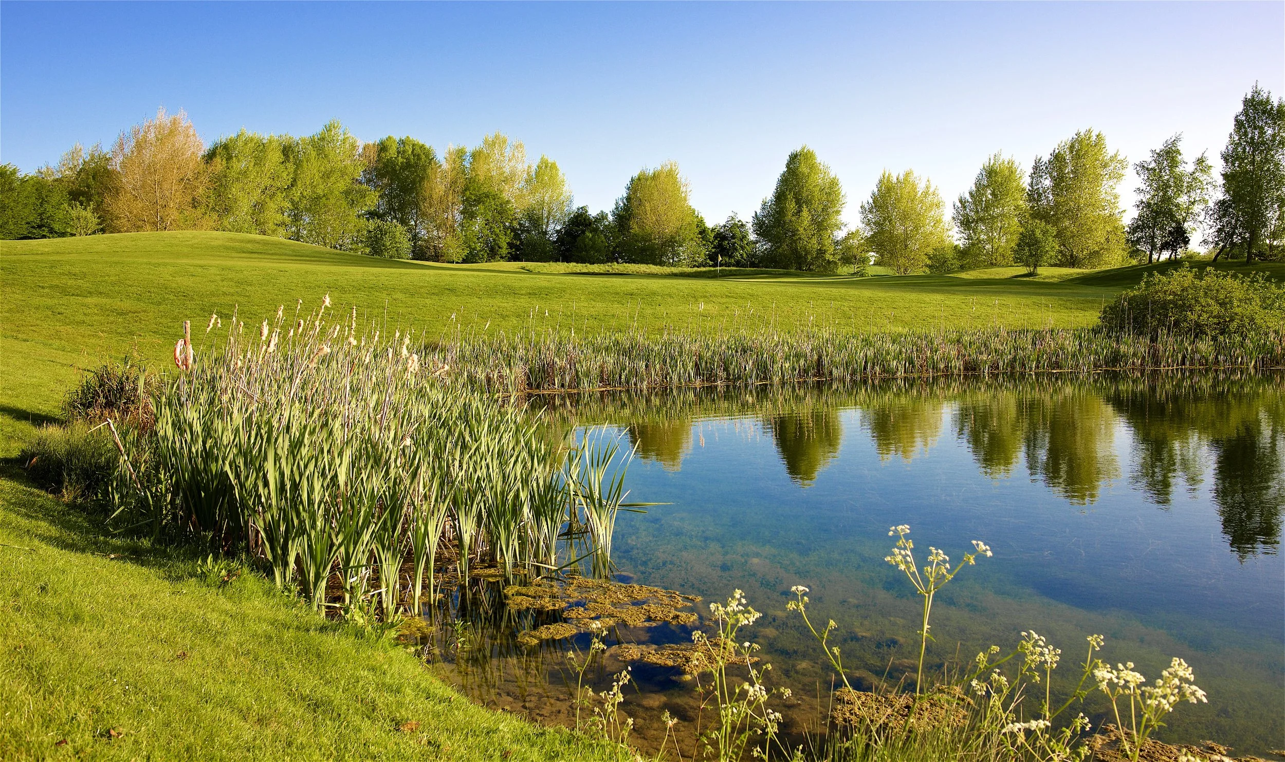 A serene landscape of a golf course in Bradford on Avon with lush green grass, a small body of water reflecting the surrounding trees, and a clear blue sky.