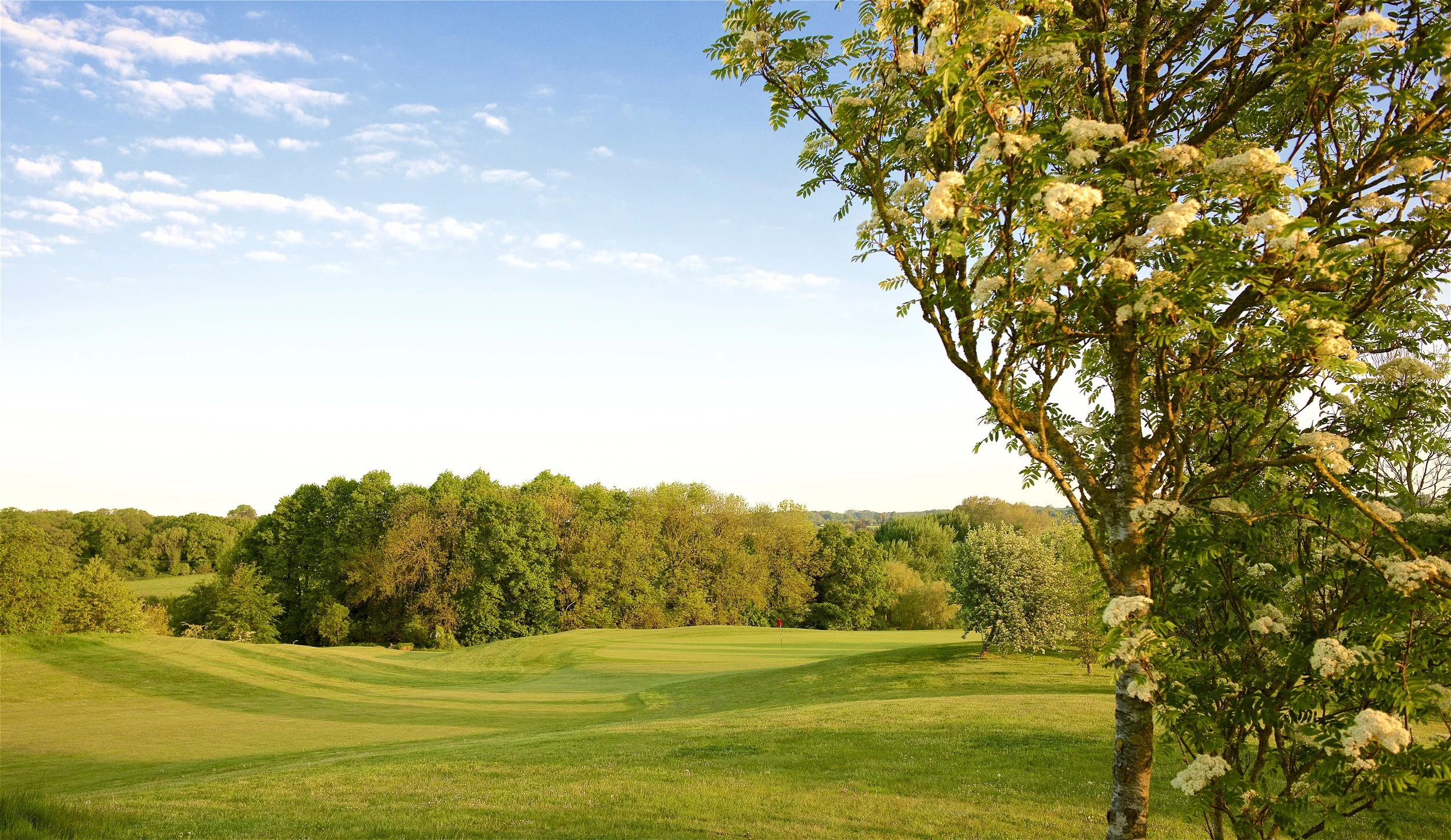 A scenic view of Cumberwell Park near Bradford on Avon golf course with green grass, trees, and a flag in the distance, surrounded by lush, dense forest under a partly cloudy blue sky.