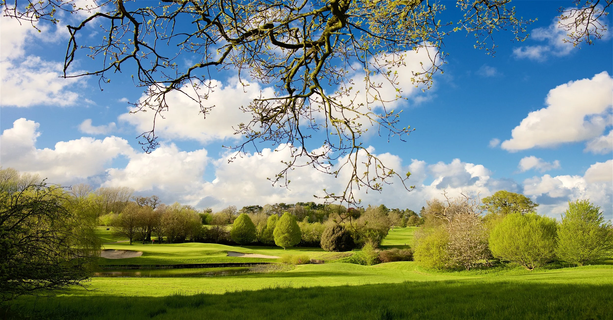 A scenic view of a golf course in Wiltshire surrounded by lush green trees, with a small pond in the foreground and a mostly cloudy blue sky overhead, with tree branches extending into the frame from the top.