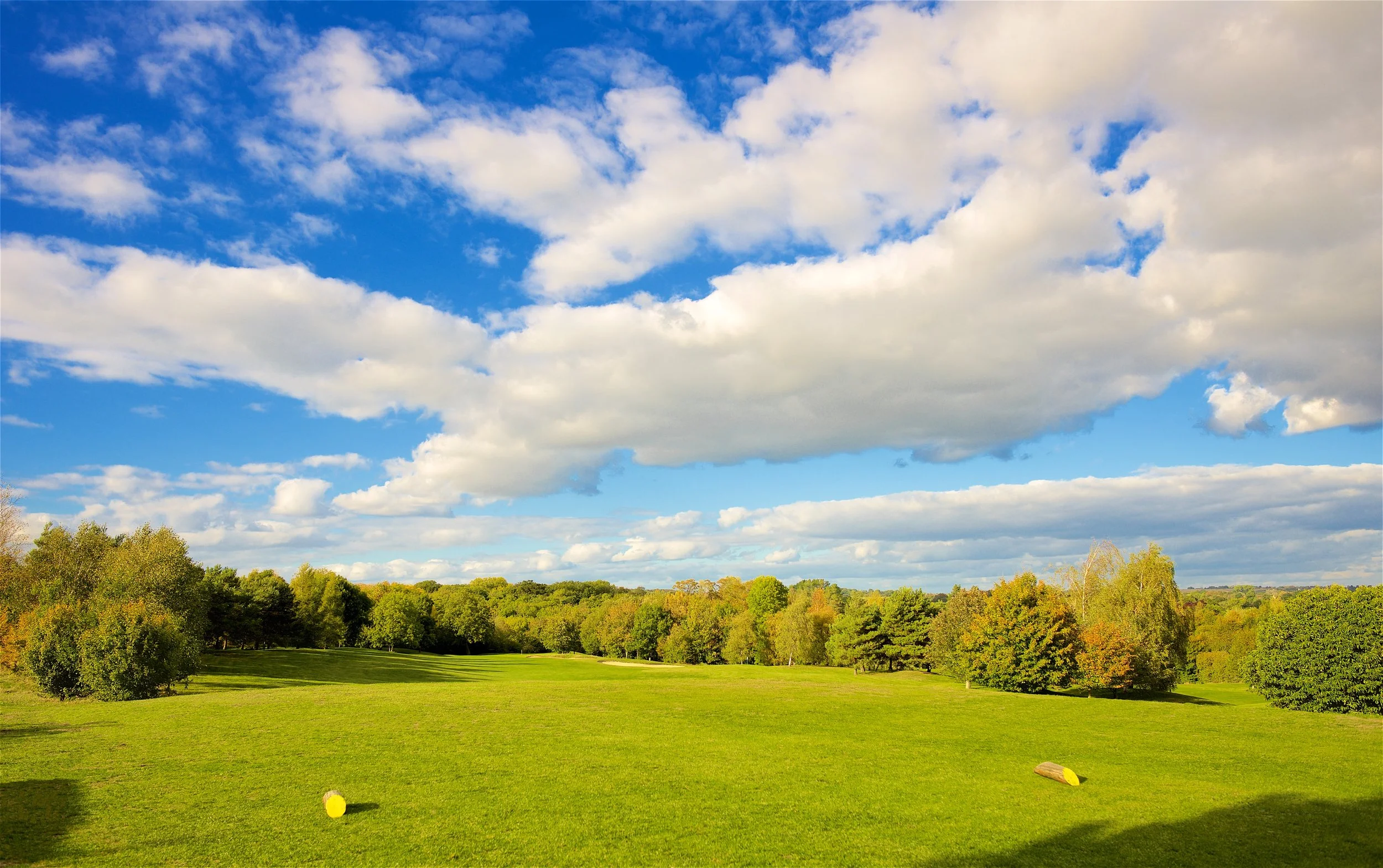 A golf course fairway with two yellow golf balls, trees at the edge, a partly cloudy blue sky above, and a horizon with distant trees.