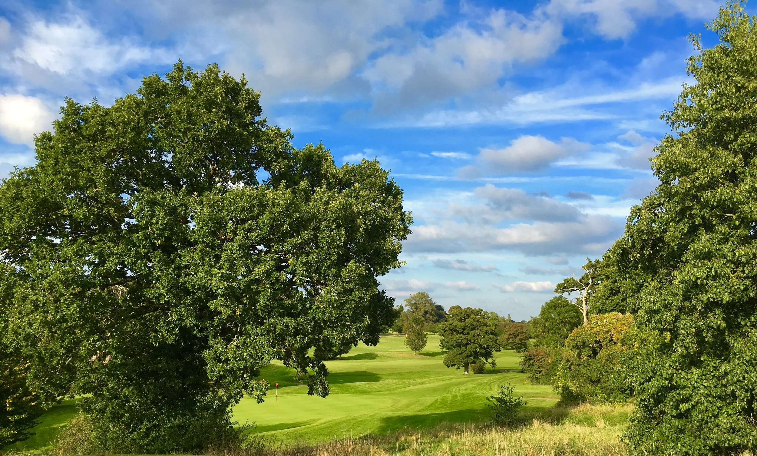 A landscape scene with green trees, a golf course with a small flag, and a sky with scattered clouds.