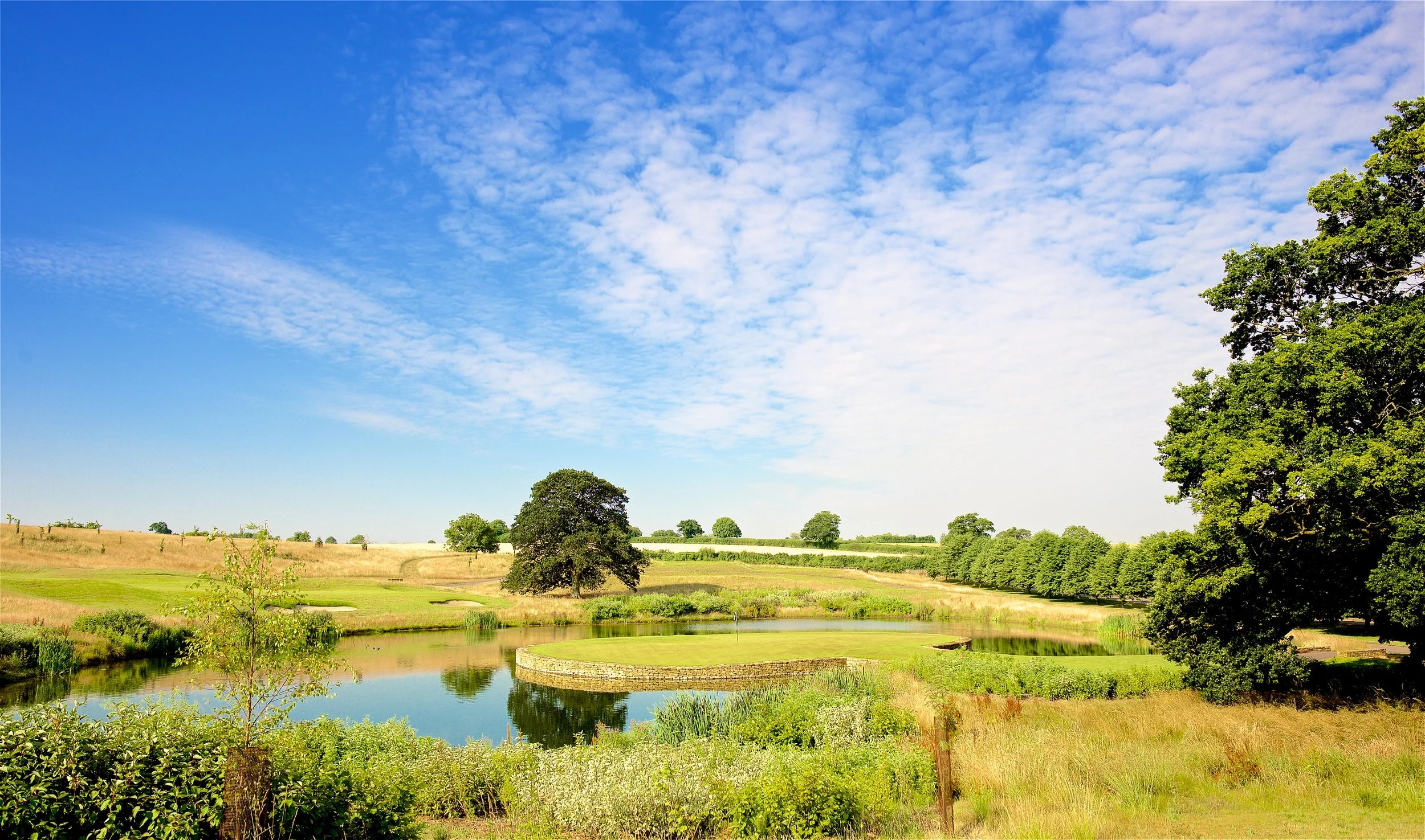 A scenic landscape with a blue sky filled with scattered clouds, green trees, and a small pond with a circular island in the middle, surrounded by grassy fields.