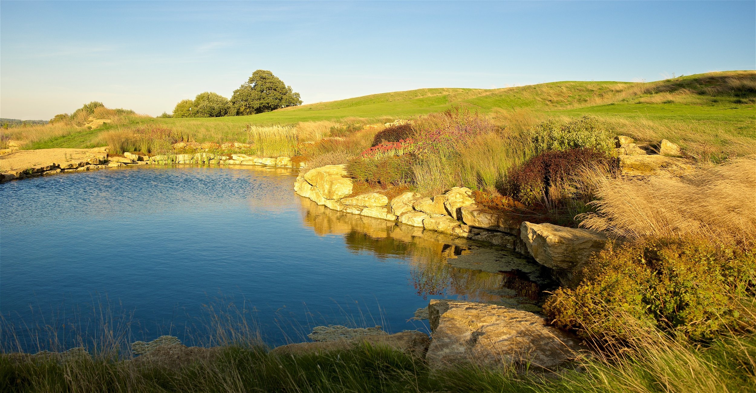 A serene landscape featuring a calm body of water bordered by rocks and lush greenery, with rolling grassy hills and trees in the background under a clear blue sky.