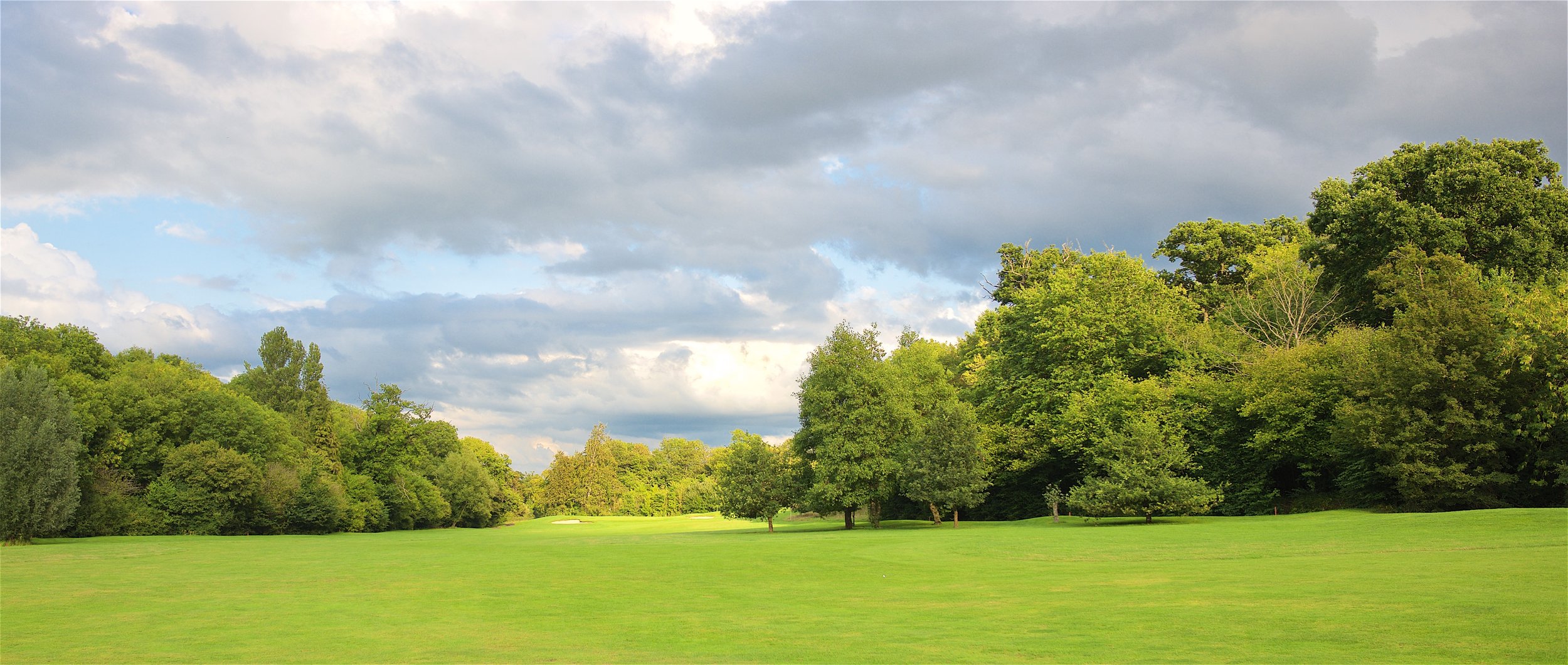 A wide view of a lush green golf course surrounded by trees under a partly cloudy sky.