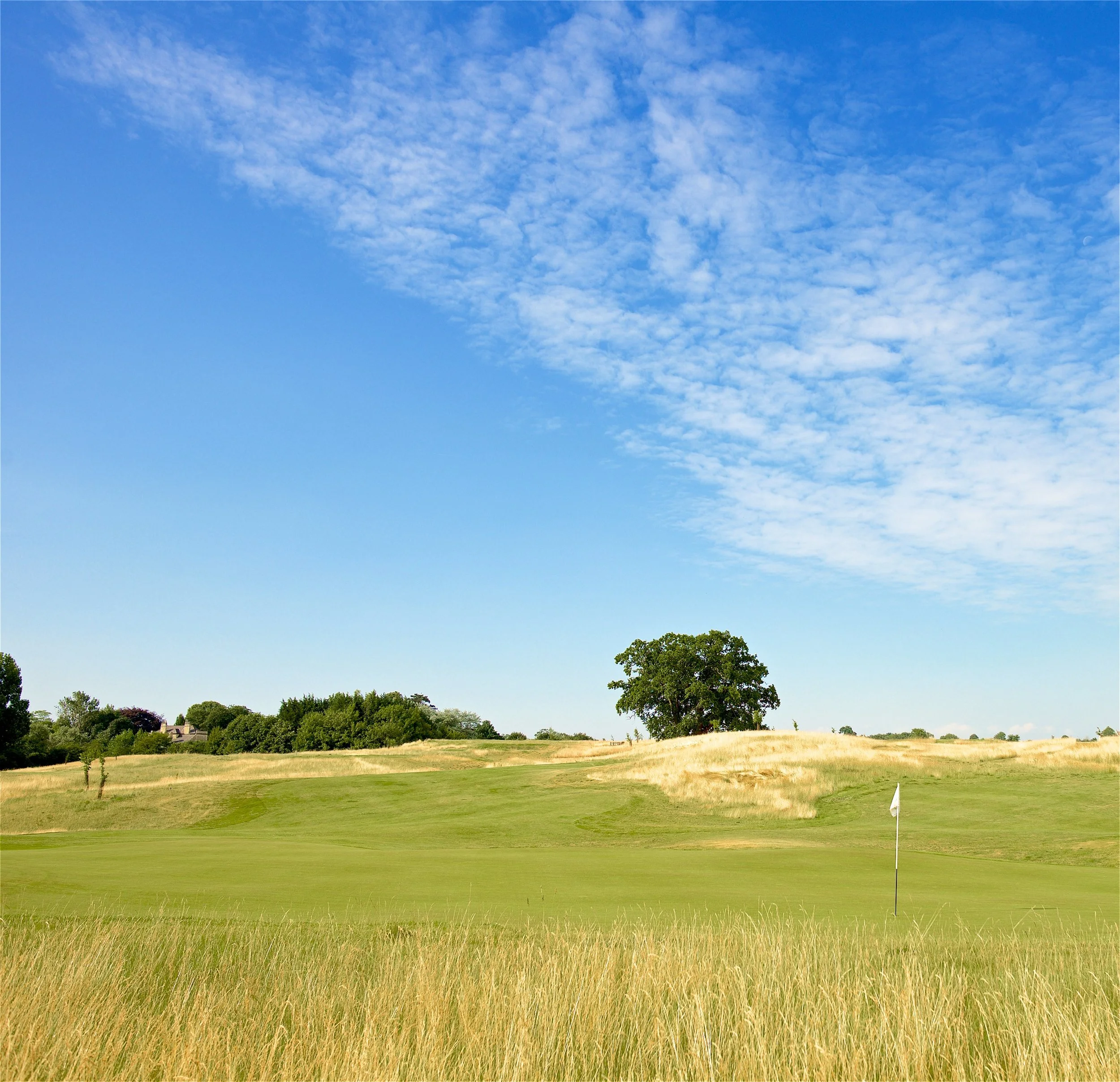 Open green field with a lone tree and a golf flag, rolling hills in the background, under a partly cloudy blue sky.