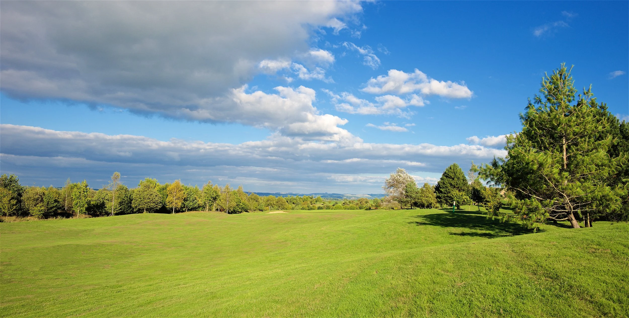 A scenic view of a golf course with a large grassy area, surrounded by trees under a partly cloudy sky with blue and gray clouds.