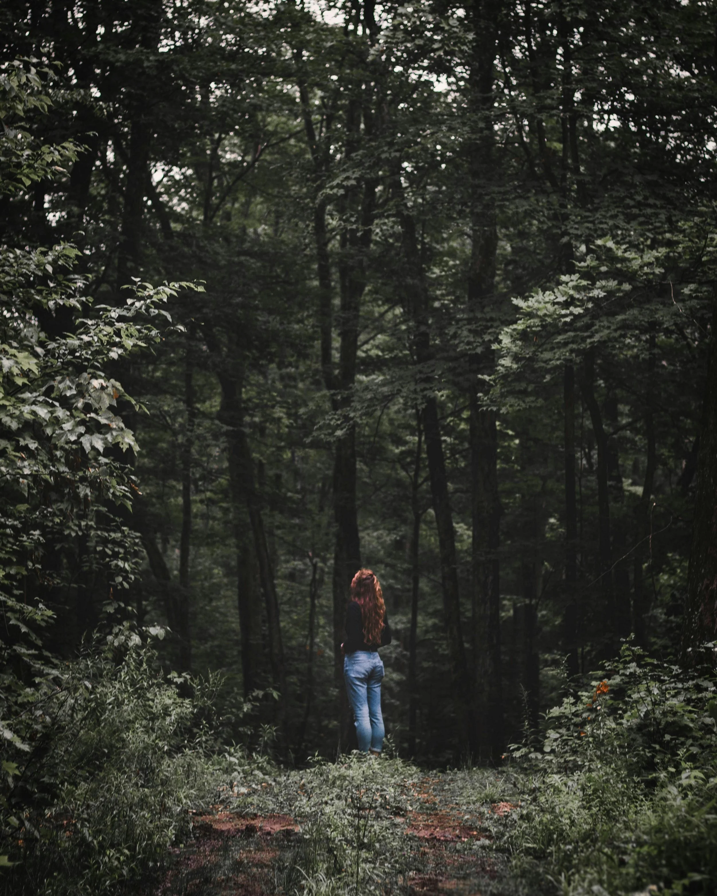 A person with long curly hair wearing a dark jacket and jeans standing alone in a dense, green forest with tall trees and lush foliage.