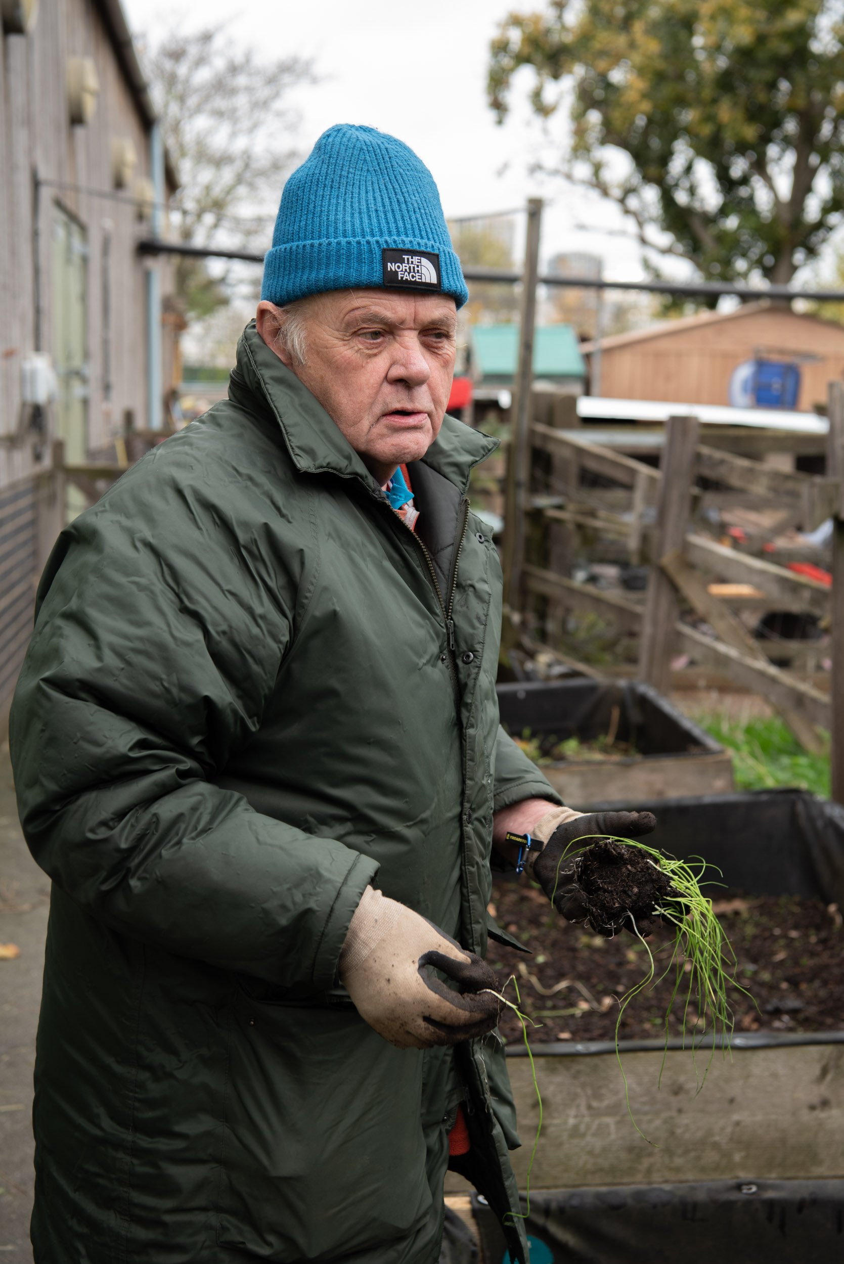 Dave at the Bow Geezers allotment, Stepney City Farm 