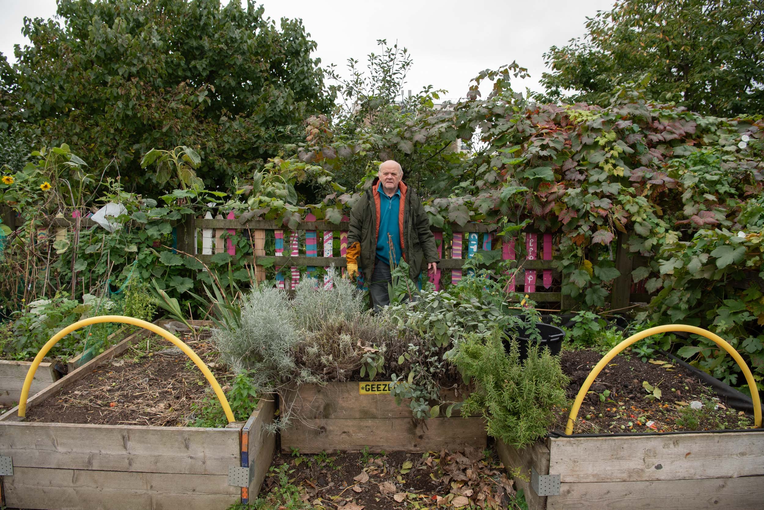 Dave at the Bow Geezers allotment, Stepney City Farm 