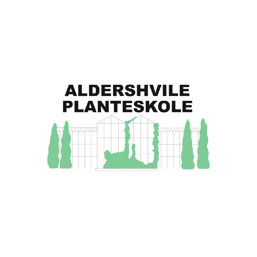 Aldershvile.jpg