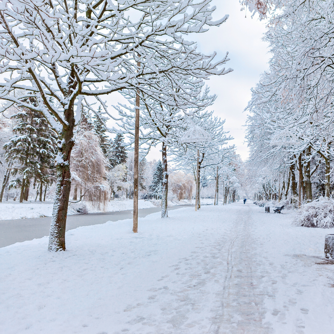 Prepping Your Home for Winter: Protect Your Landscape and Property