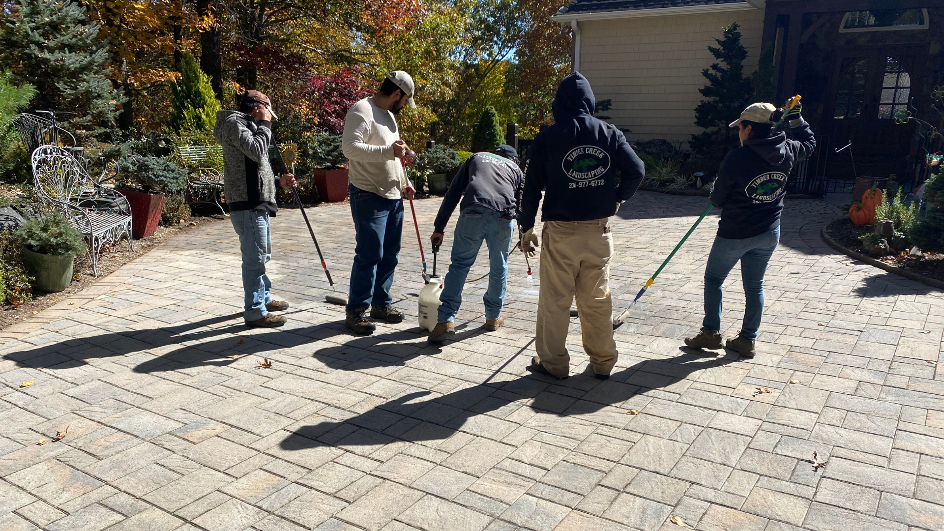 Honoring Small Businesses with Timber Creek Landscaping