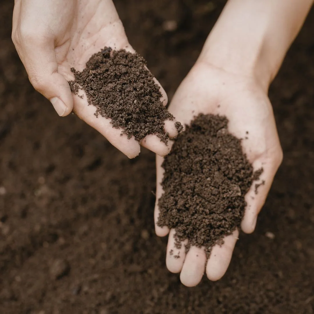 Benefits of Winter Soil Testing Before Spring Planting