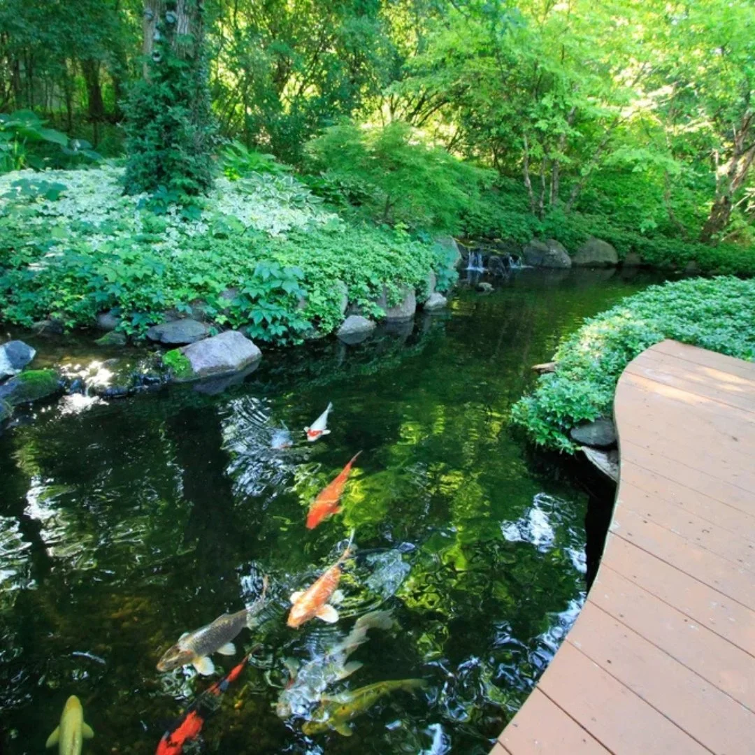 What to Consider Before Adding a Backyard Water Feature