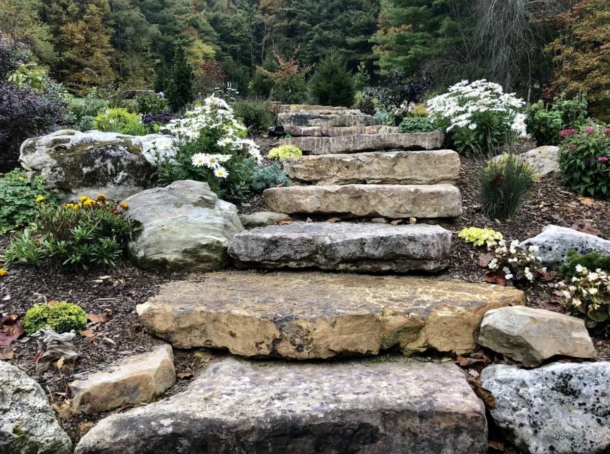 Early Spring Clean Up, Setting the Foundation for a Healthy Landscape