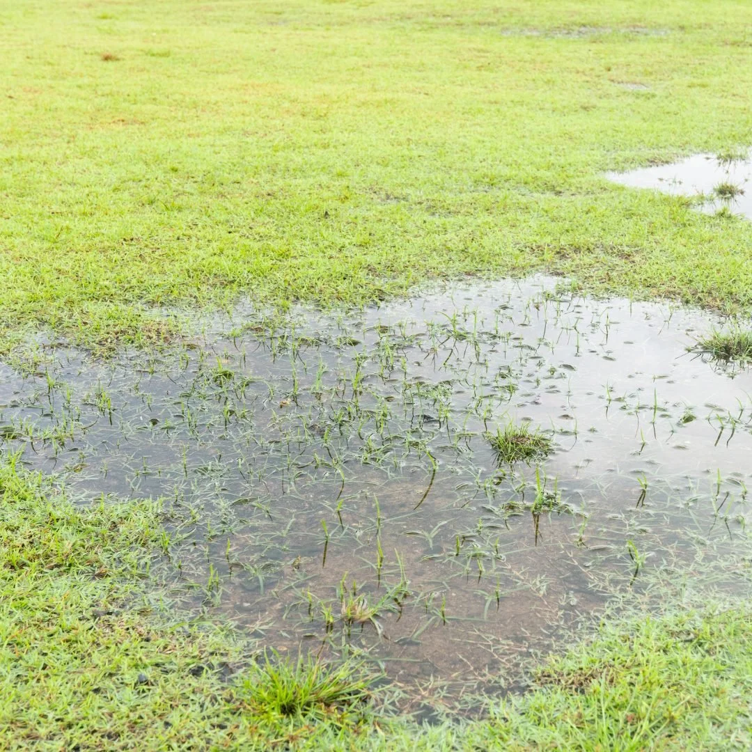 Drainage Problems in Your Yard, Signs You Shouldn’t Ignore