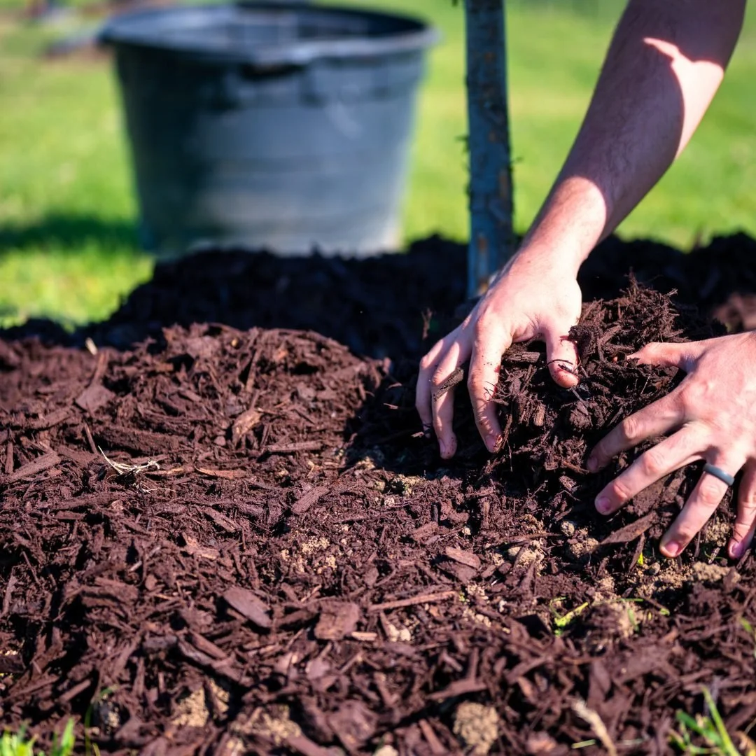 Seasonal Mulching, Why April Is the Perfect Time to Refresh Your Beds