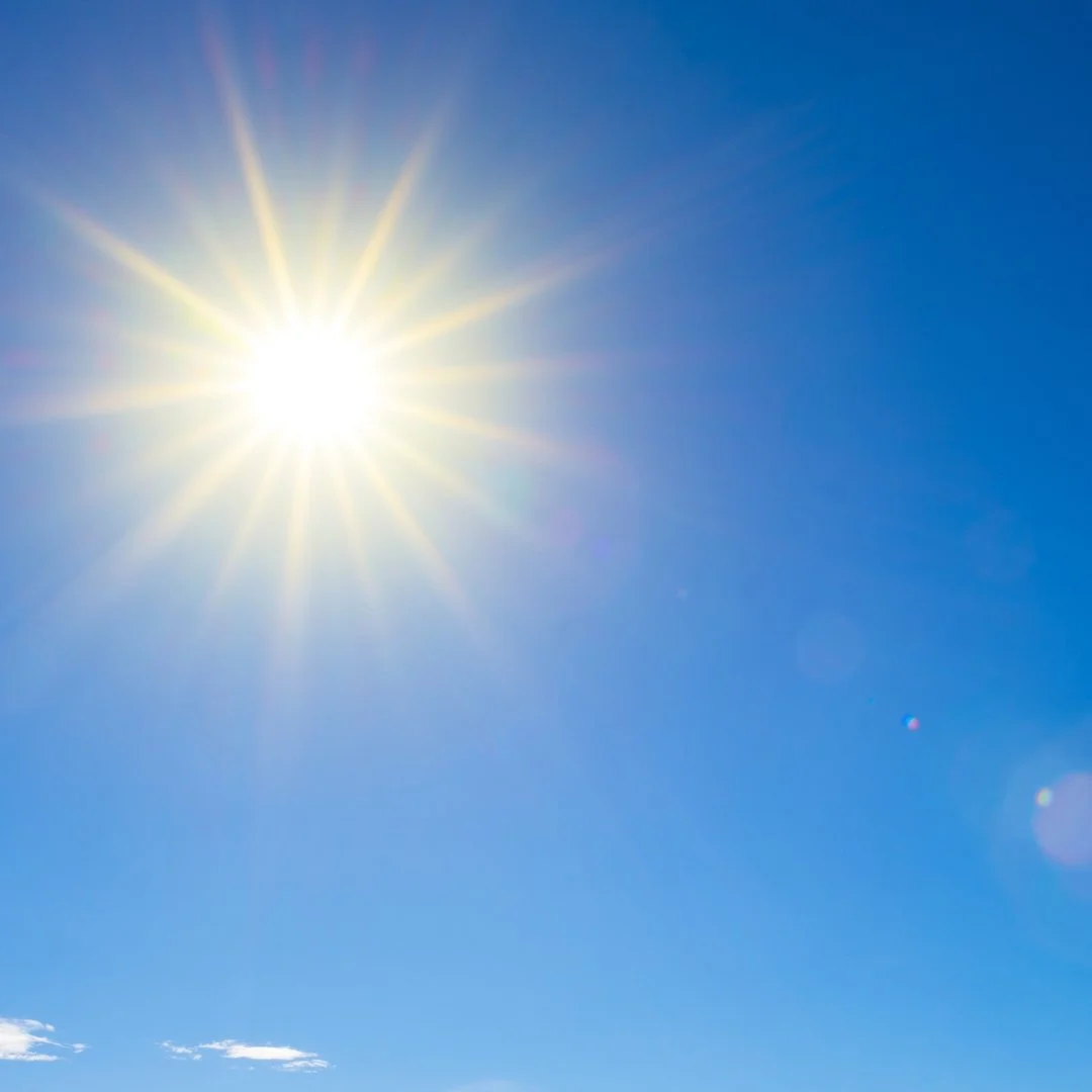 How to Prepare Your Landscape for Summer Heat in North Carolina