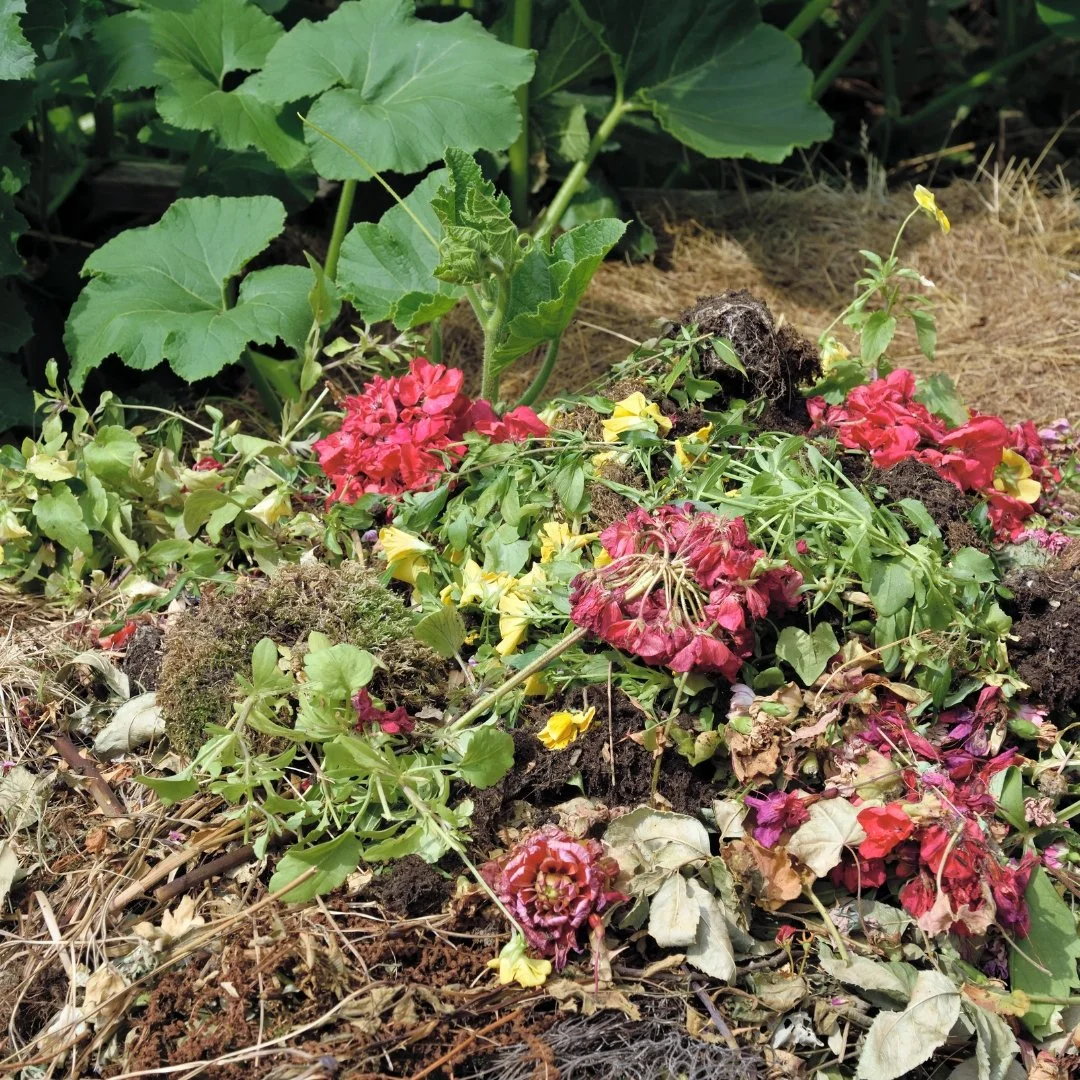 Common Landscaping Mistakes to Avoid in Spring and Summer