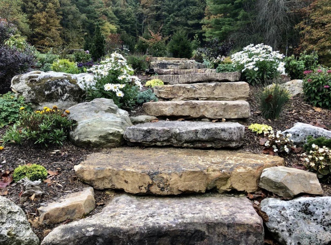 Pollinator Friendly Landscaping, Helping Bees, Butterflies, and Birds Thrive