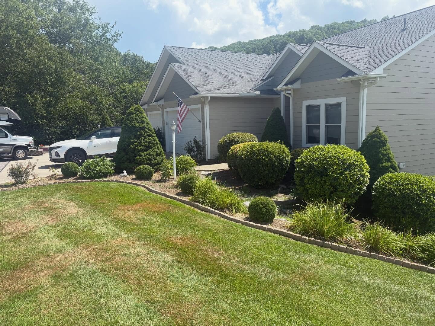 When Is the Best Time to Plant Trees and Shrubs in North Carolina?