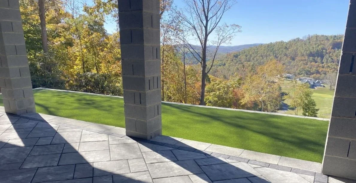 Comparison of fescue and bermuda grass lawns in North Carolina showing differences in color, texture, and growth