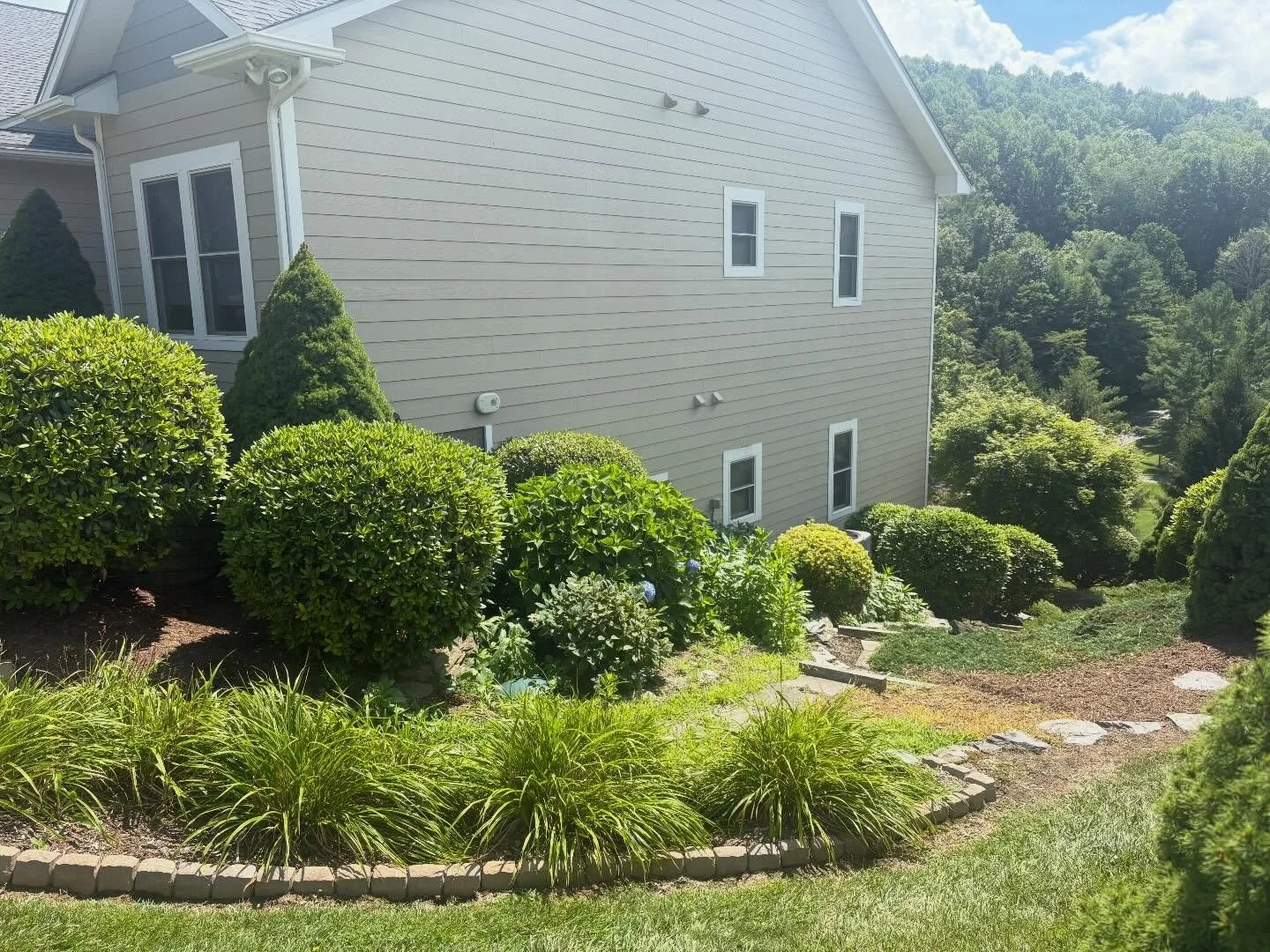 Best Time to Plant Trees and Shrubs in North Carolina