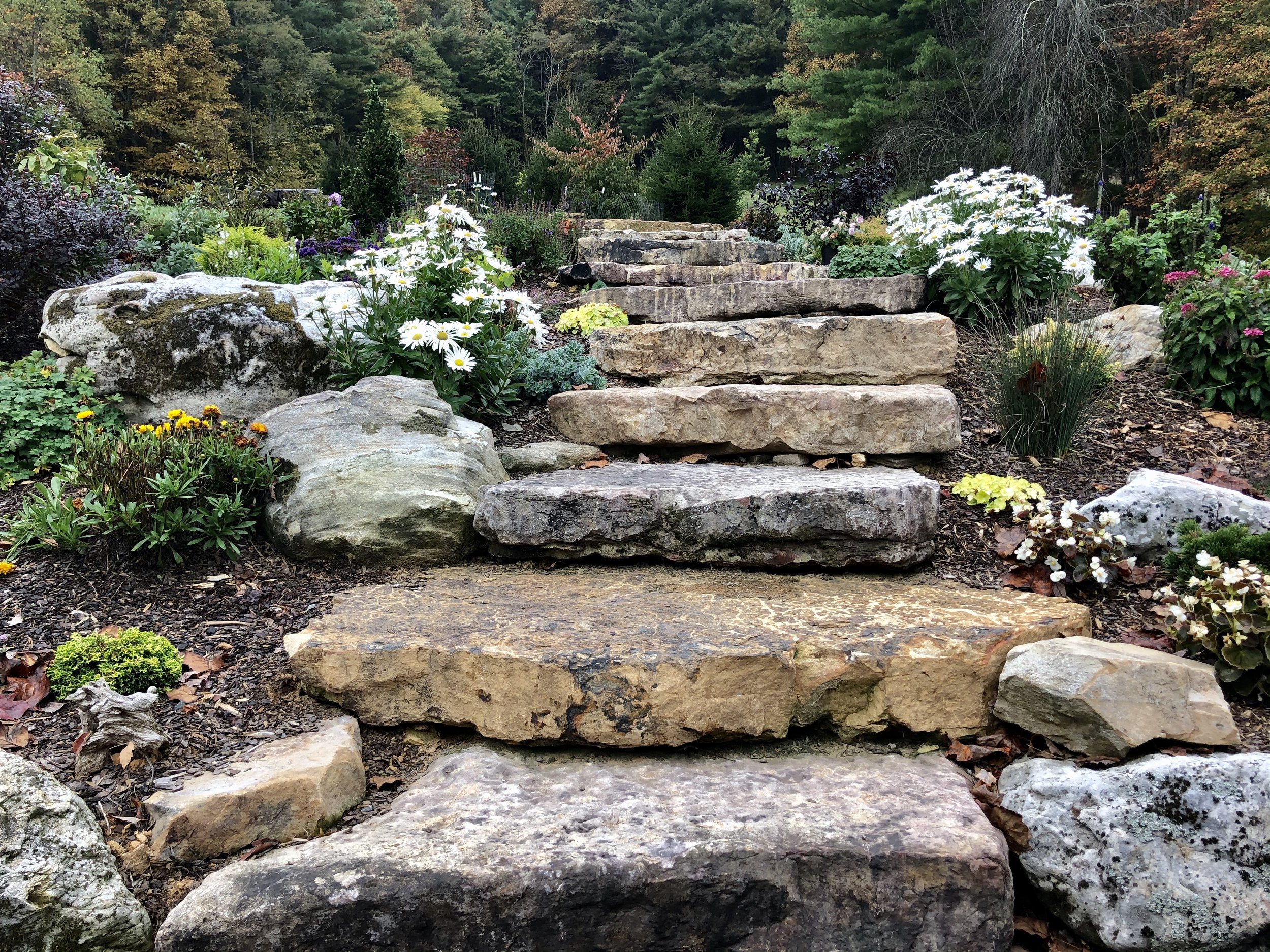 landscape planting and design - Timber Creek Landscaping NC