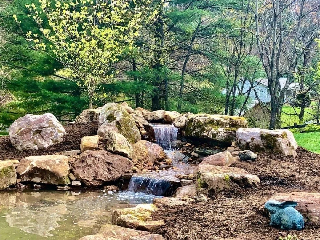 Custom backyard aquascape featuring a natural stone waterfall, pond, aquatic plants, and surrounding landscape