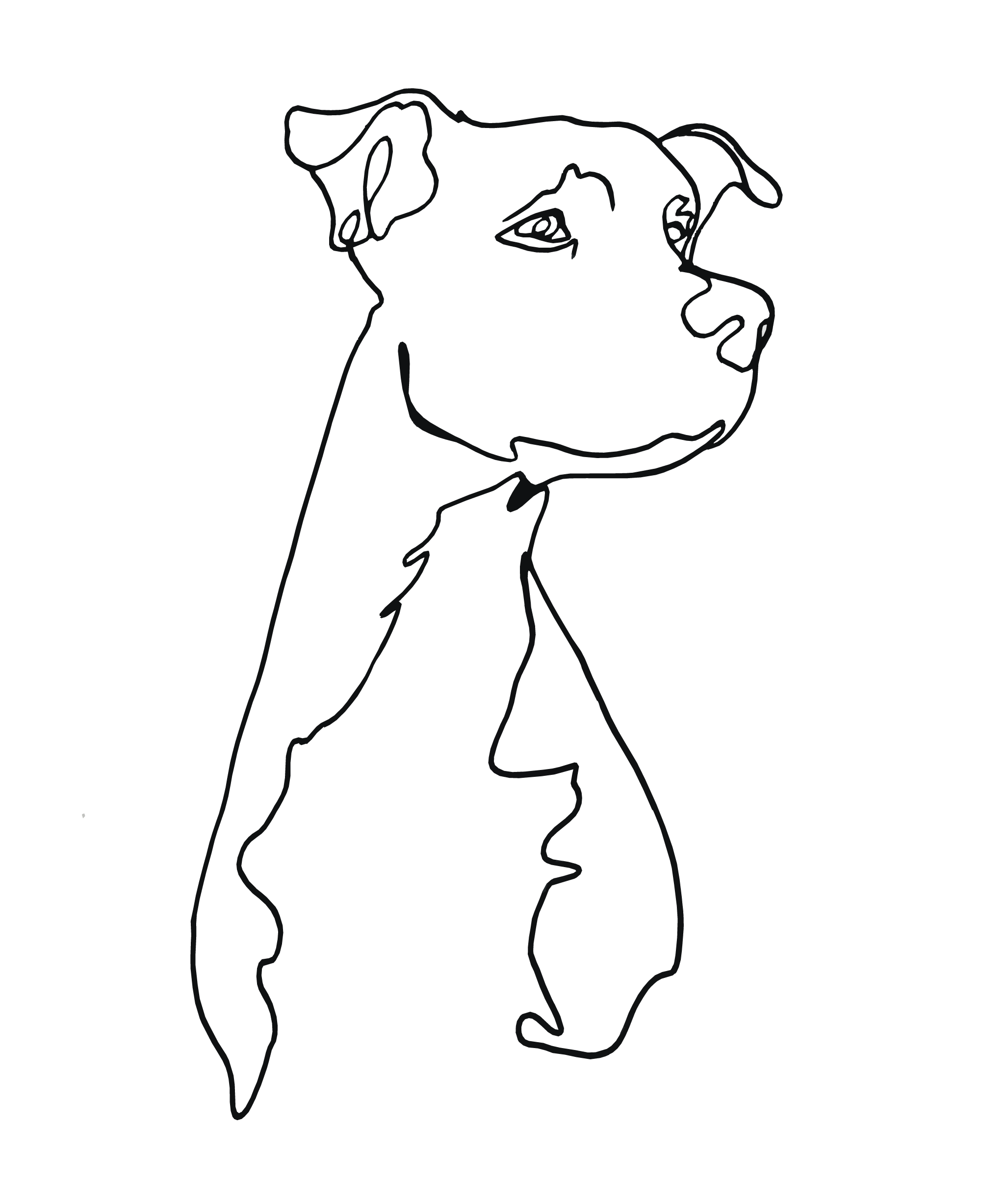 Outline drawing of a dog with a short coat, floppy ears, and a focused expression, facing right.