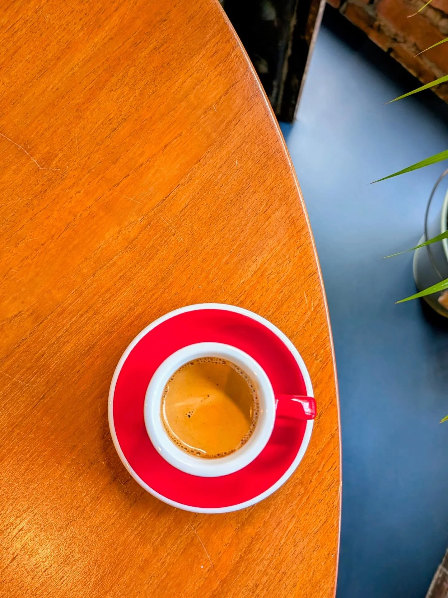 We&rsquo;ve taken our time, working with our good friends @thomsonscoffee to find our new house espresso - now serving exclusively here at Through the House.

Introducing, Los Amigos del Oso [The Friends of the Bear 🐻 ] - a delicious washed Peruvian
