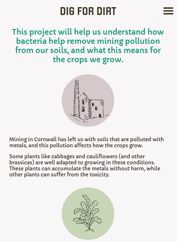 screenshot of website design including spot illustrations
