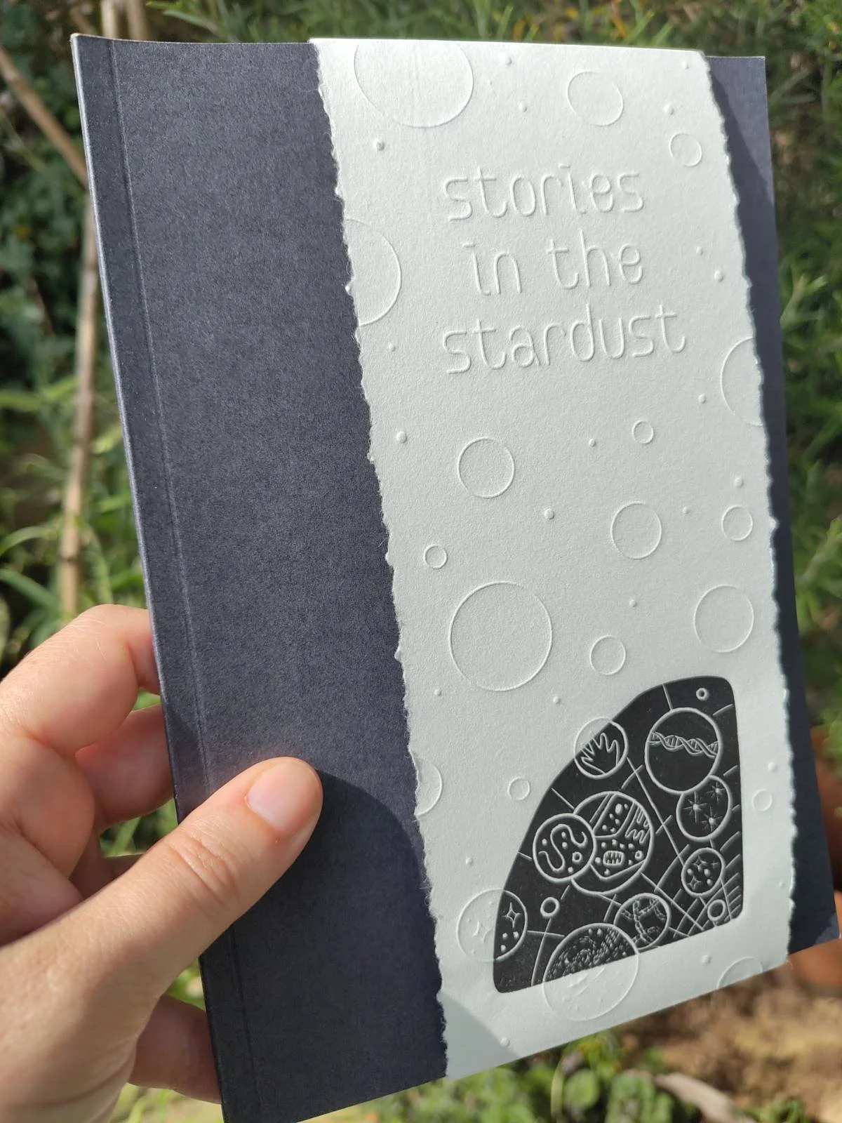 Stories in the Stardust