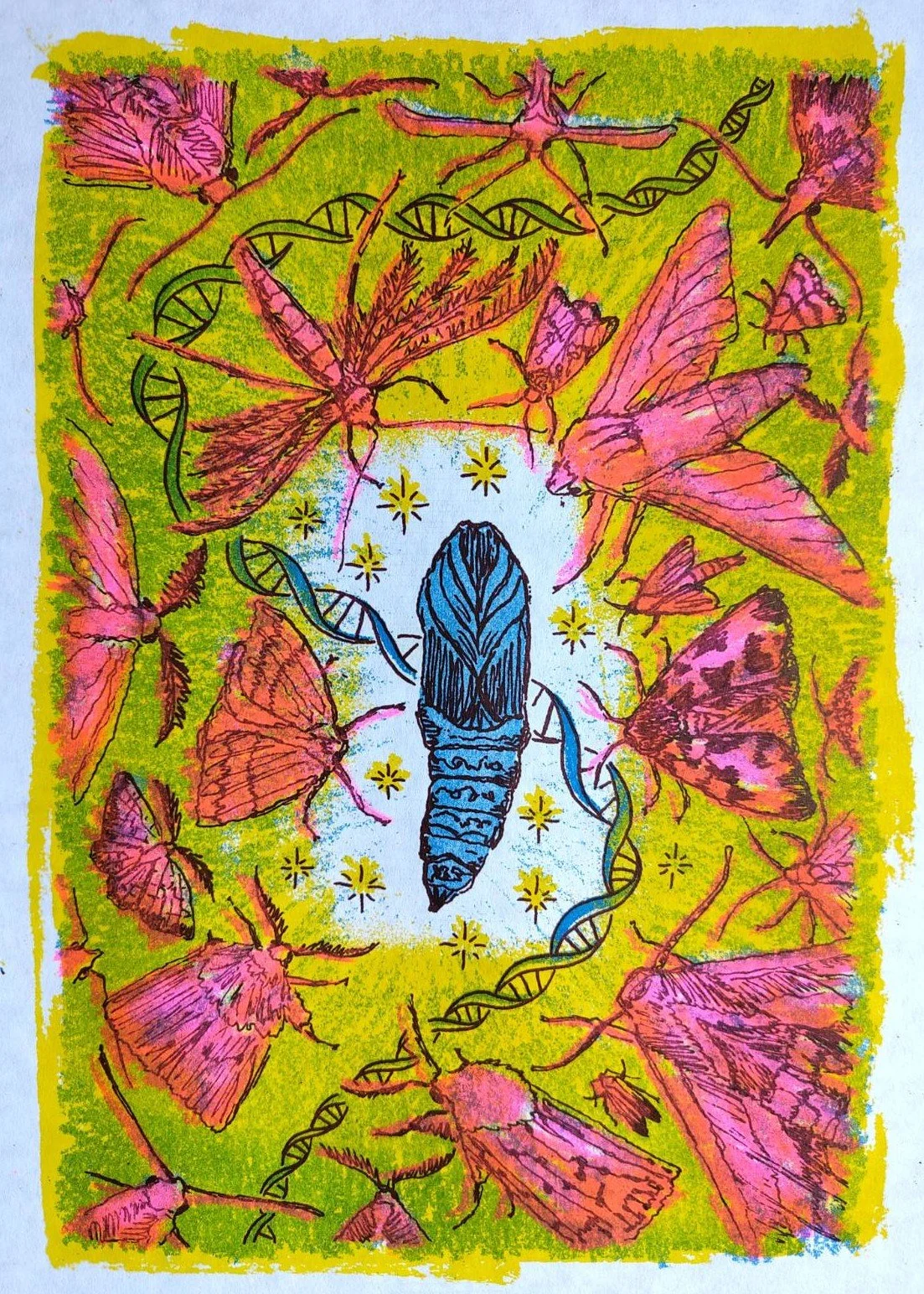 Cocoon surrounded by moths, with a strand of DNA and stars behind. Made in blue, yellow, pink and dark purple.