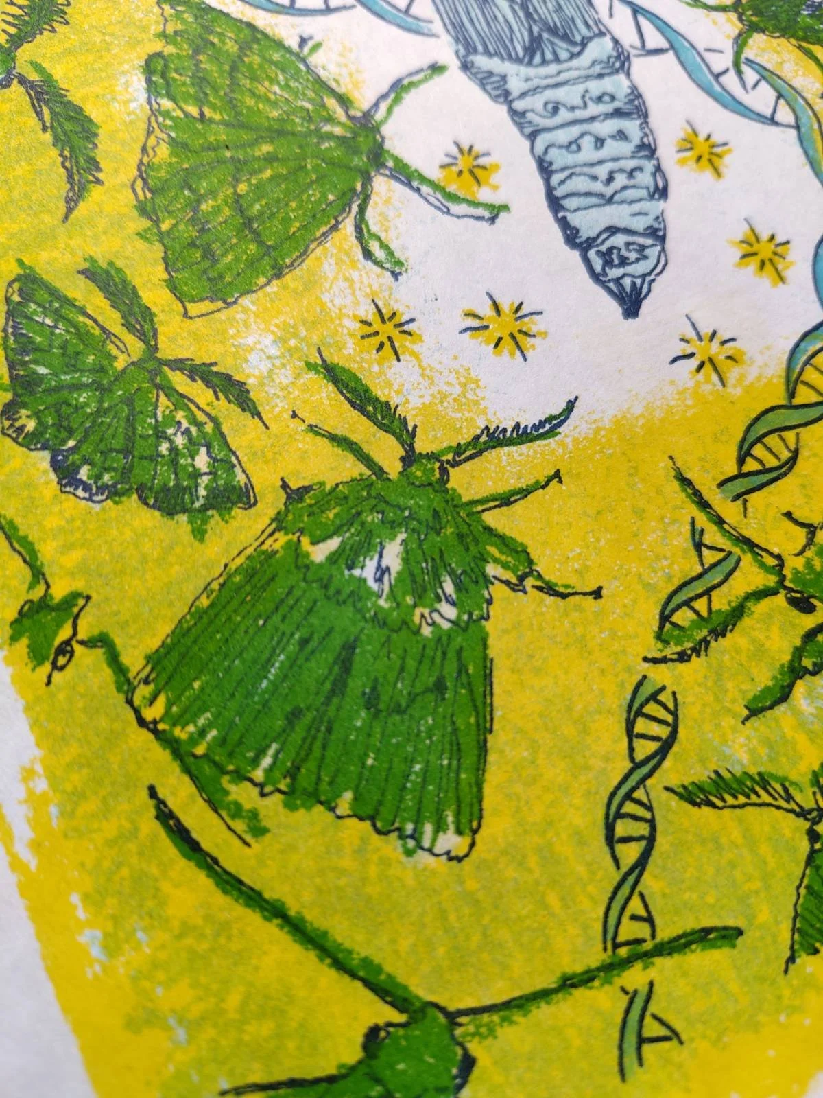 close up of green moth riso print