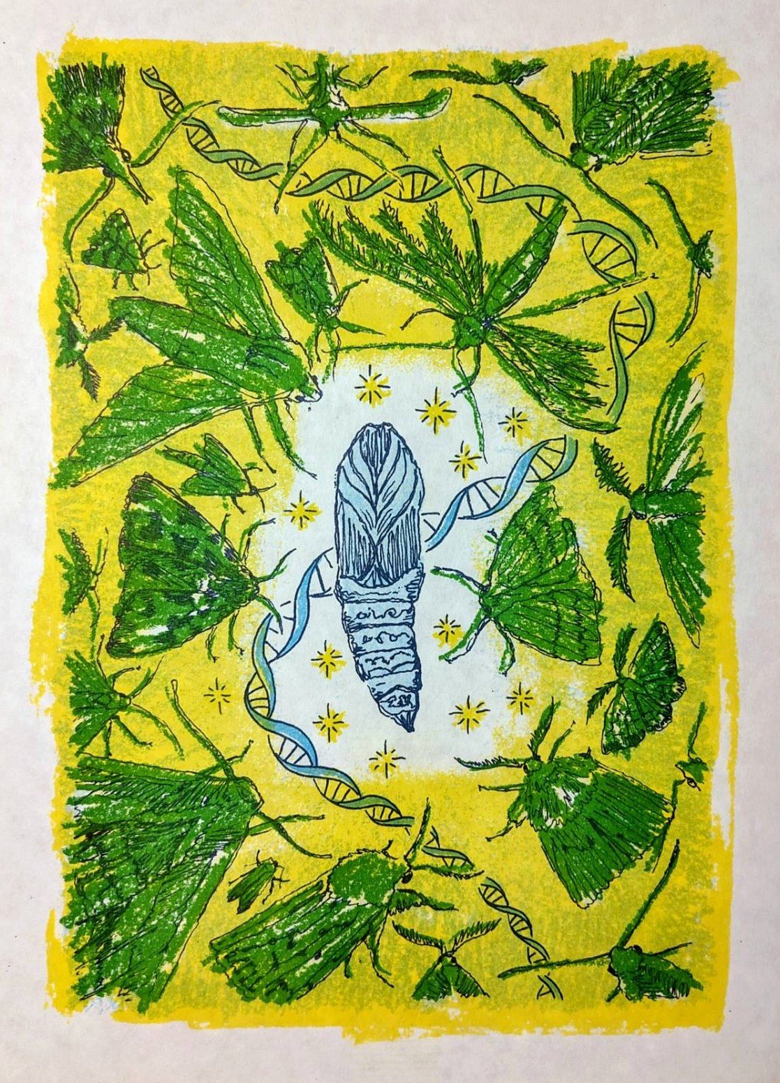 Cocoon surrounded by moths, with a strand of DNA and stars behind. Made in green, yellow and two blues