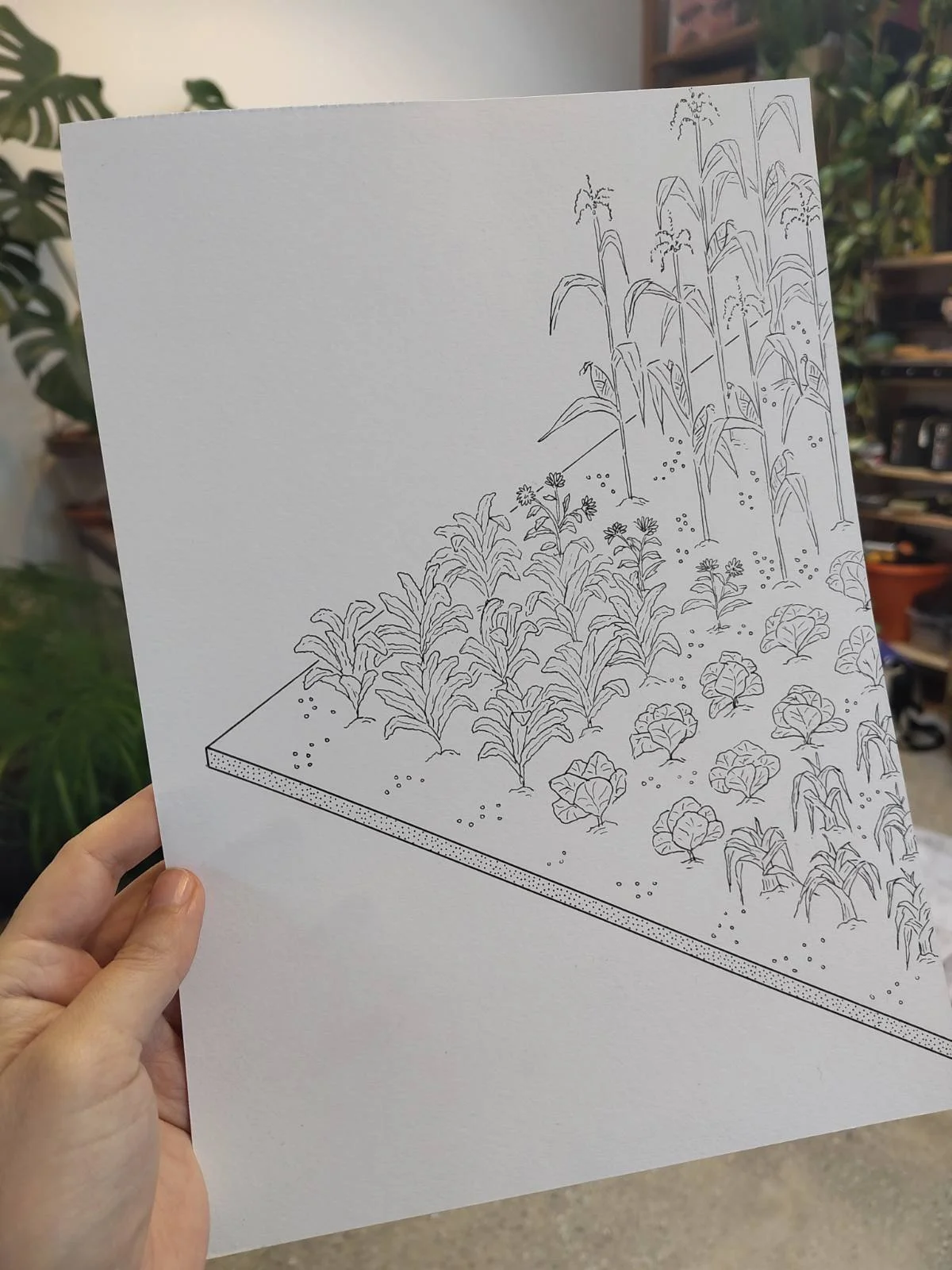 isometric hand drawing in ink of crops growing