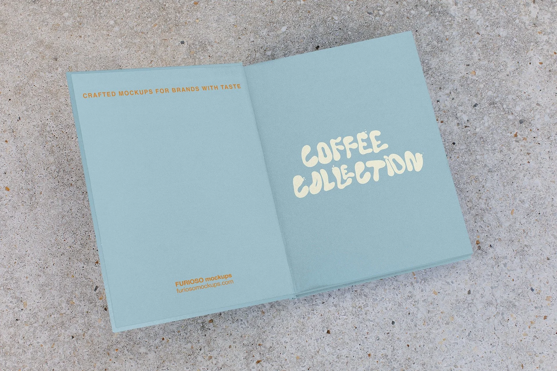 Book Mockup 01CC_3.jpg