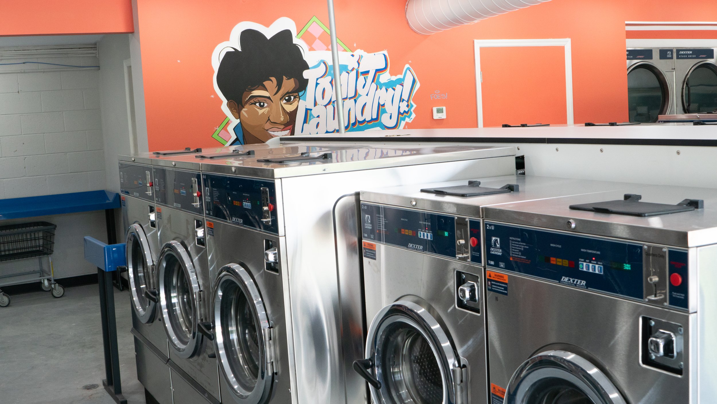 Toni J Laundry-09.jpg