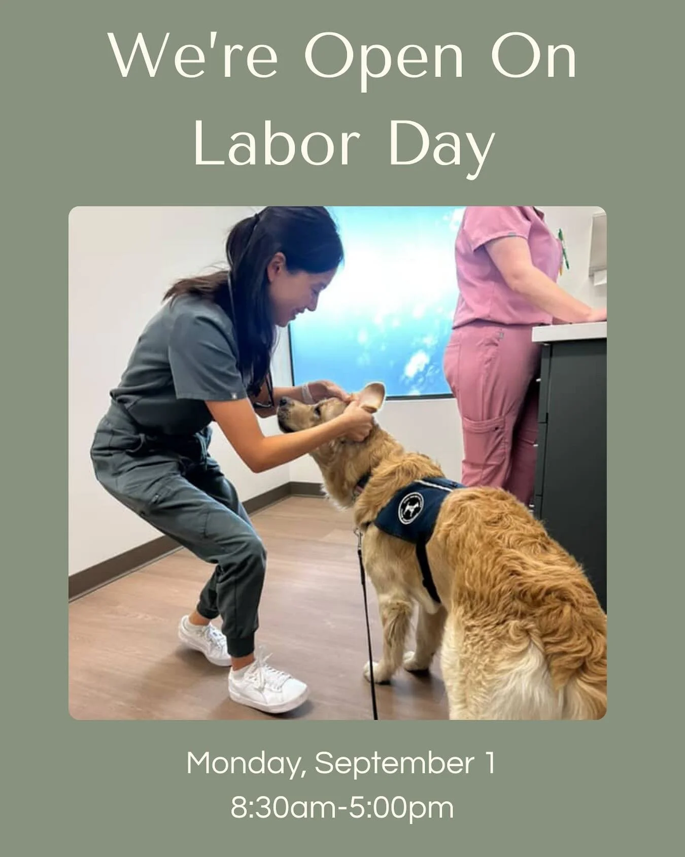 We know pets don’t always take holidays off, so Fair Oaks Pet Hospital will be open Labor Day, Monday 9/1 from 8:30am–5pm.
Whether it’s a wellness check, urgent concern, or just peace of mind, we’re here for you and your pets
