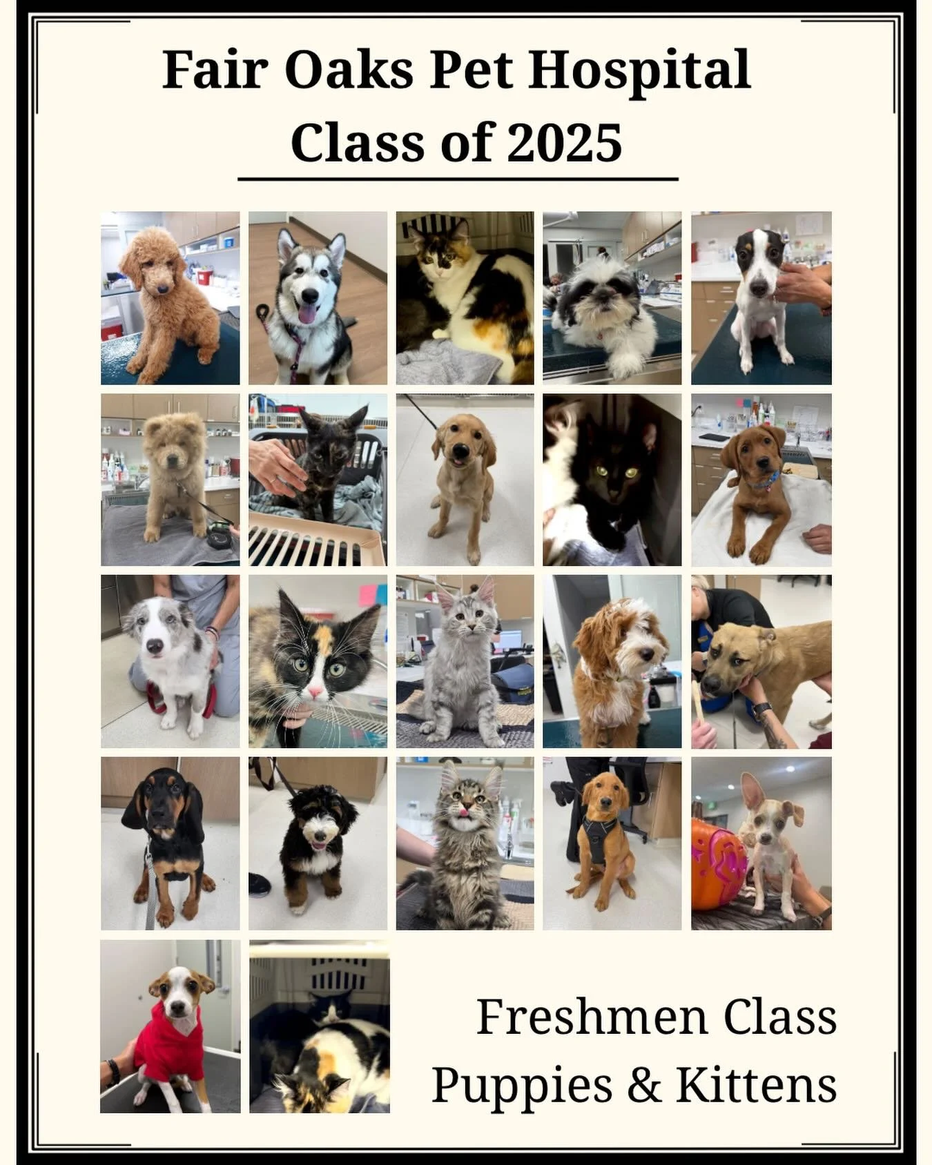 Class of 2025 🎓🐾
Congrats to all our Puppy + Kitten Package grads! Thanks for trusting us with the early milestones that set them up for a healthy life.