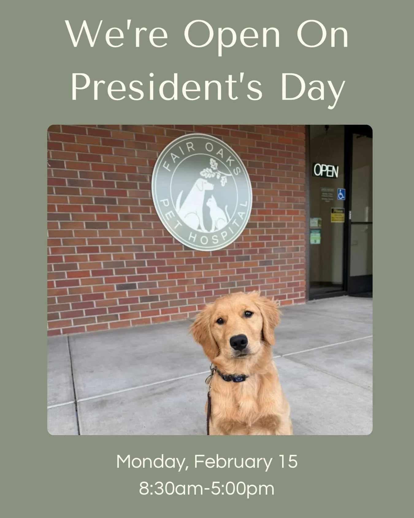 Presidents&rsquo; Day reminder 🇺🇸 We&rsquo;ll be open tomorrow from 8:30am&ndash;5pm.

If your pet is experiencing a medical concern or needs guidance, our team is here to help and can advise you on next steps.

🐾 Call us at (916) 436-0507 and we&