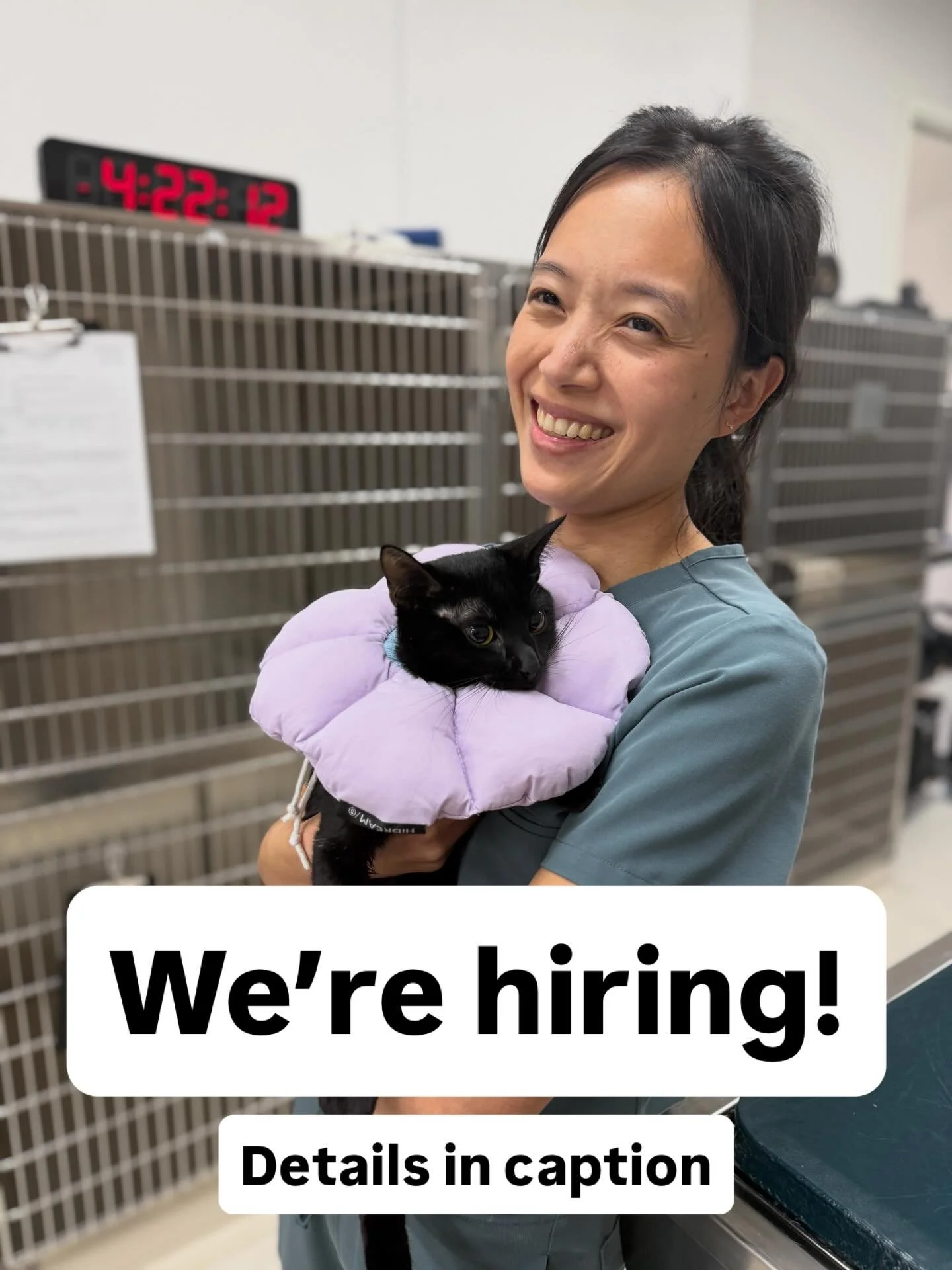 We&rsquo;re growing! Fair Oaks Pet Hospital is looking for a Registered Veterinary Technician (RVT) to join the team. We specifically need help with dental procedures, so recent experience in that area is a must. 

If you love gold-standard medicine 