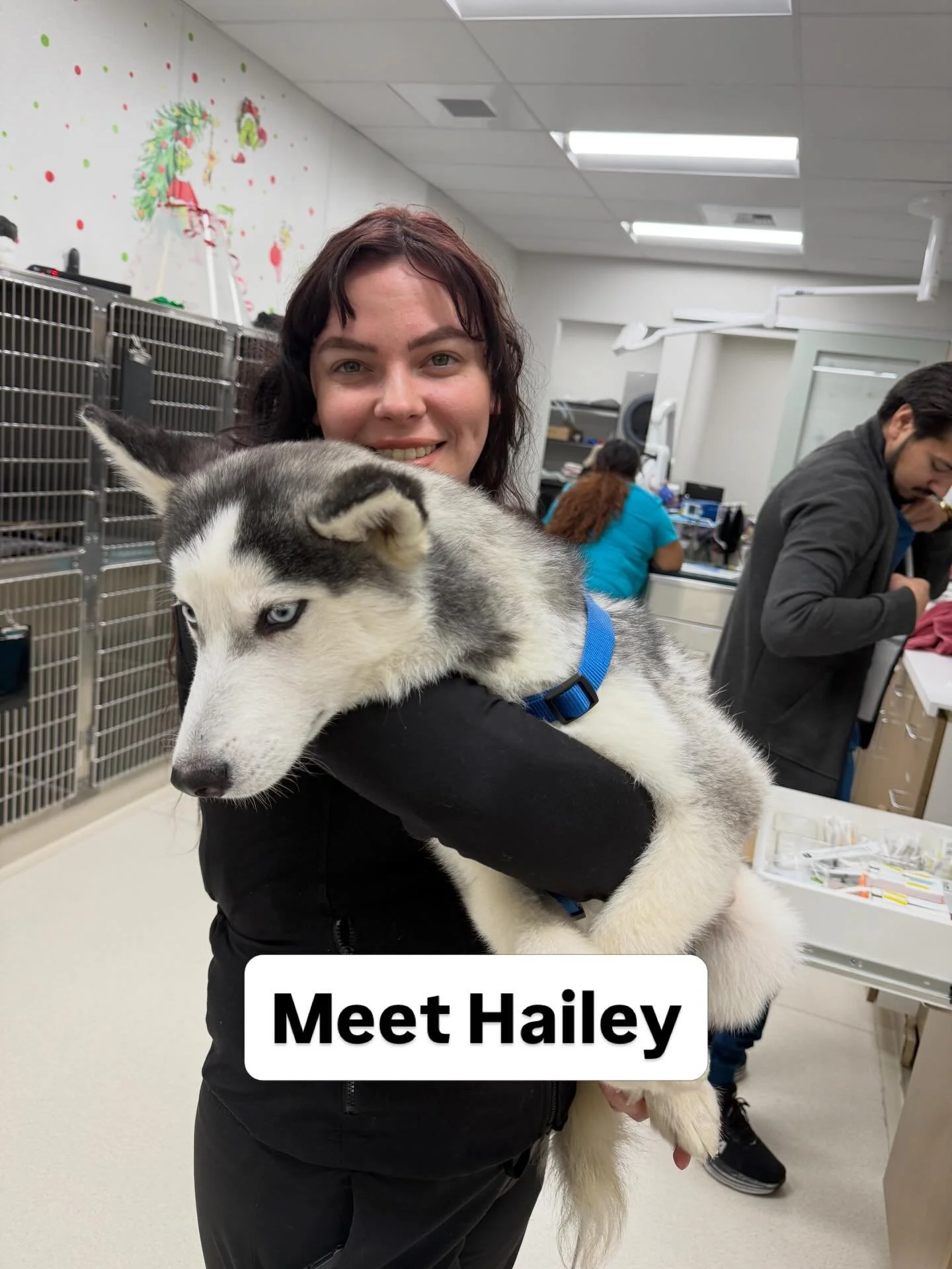 Meet Hailey, one of the friendly faces who helps welcome you up front at Fair Oaks Pet Hospital. 🐾

Hailey has been in the veterinary field for over 4 years and loves helping make each visit feel smooth, stress-free, and comfortable for both pets an