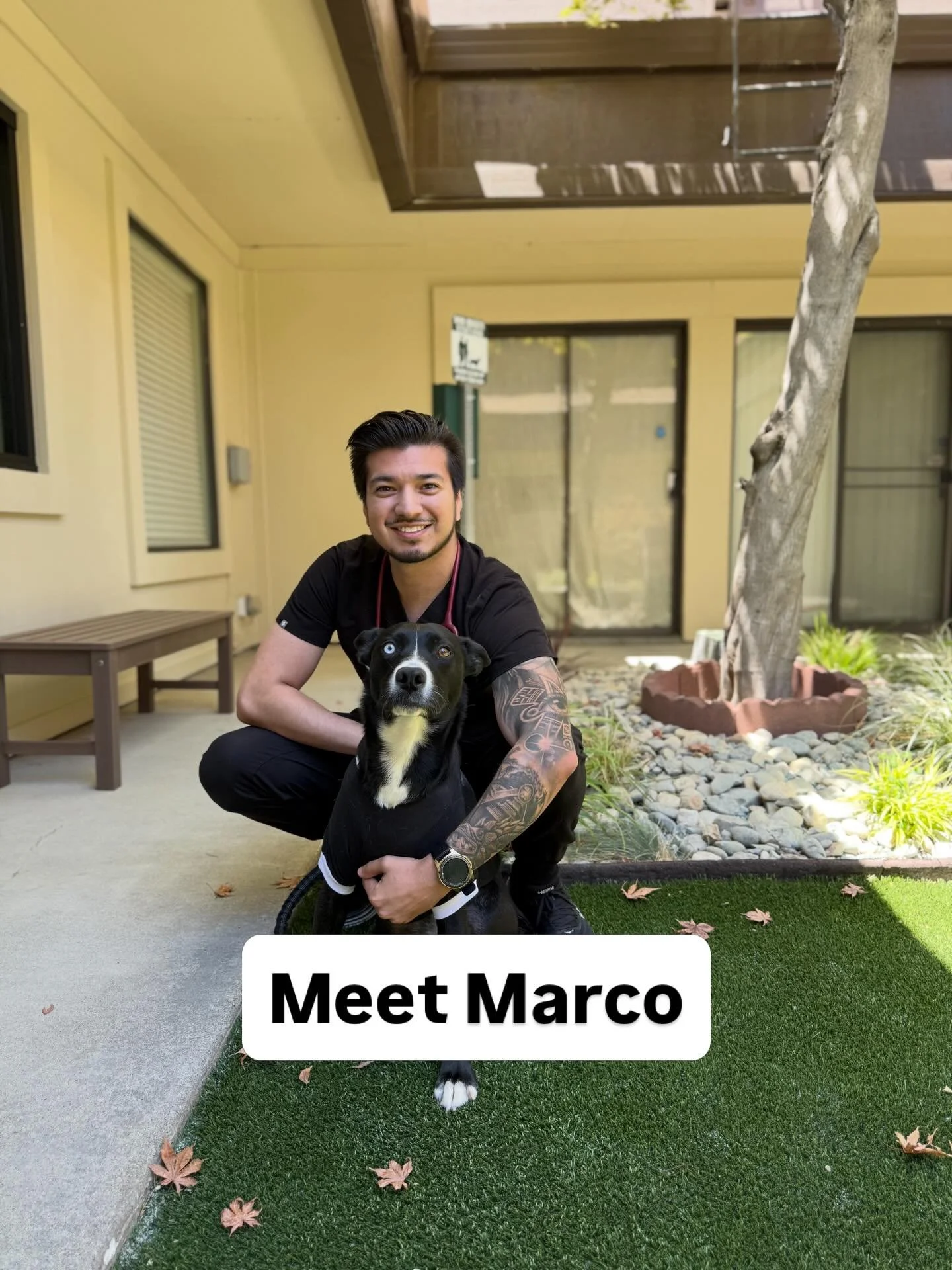 Meet Marco!
Marco is one of our amazing Veterinary Assistants and brings over 10 years of experience in the veterinary field. He spent 5 years in emergency medicine before transitioning into general practice, giving him a well-rounded background in b