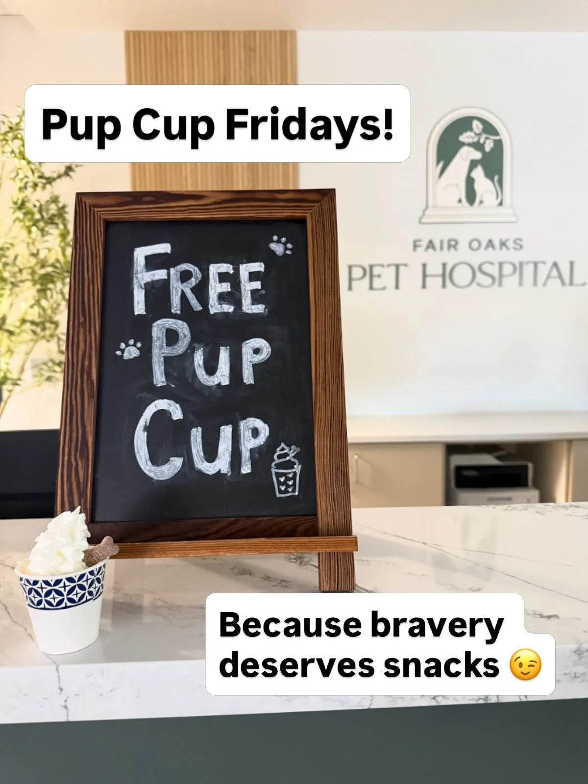 Our staff said, &ldquo;What if we did Pup Cup Fridays?&rdquo;

And honestly&hellip; this is exactly the kind of peer pressure we support. 🐾🍦

Grab one during your Friday appointment or stop by for a happy visit. 

We can&rsquo;t wait to see who bec