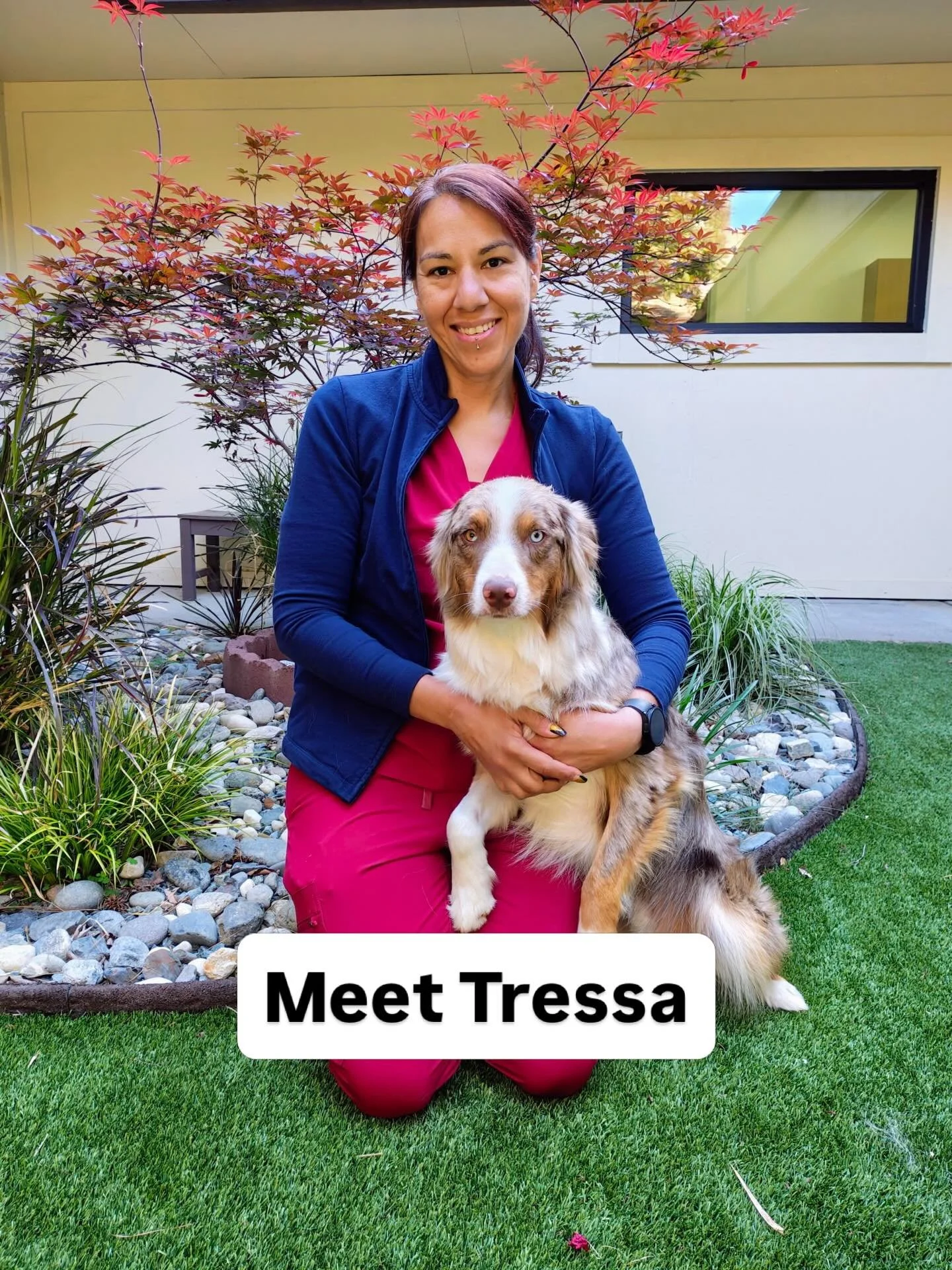 Meet Tressa!
Tressa brings 23 years of veterinary experience to our team, having worked as both a receptionist and assistant throughout her career. She loves helping pets and their people and has a special passion for emergency medicine, where teamwo