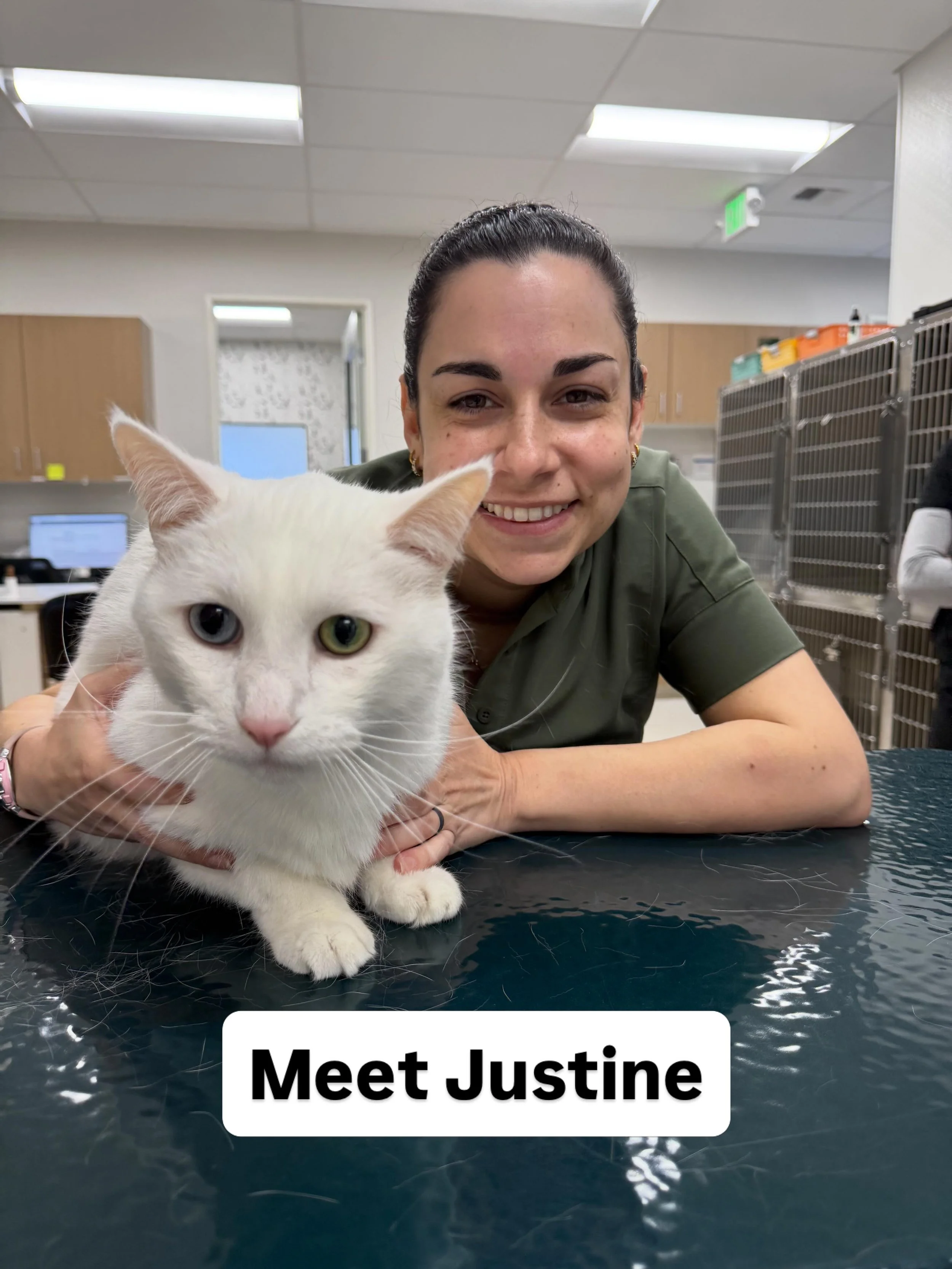 Justine has loved animals from a very young age, and that passion led her to a career in veterinary medicine. Since 2017, she&rsquo;s continued growing her skills while helping support great patient care, client education, and teamwork.

Now living i