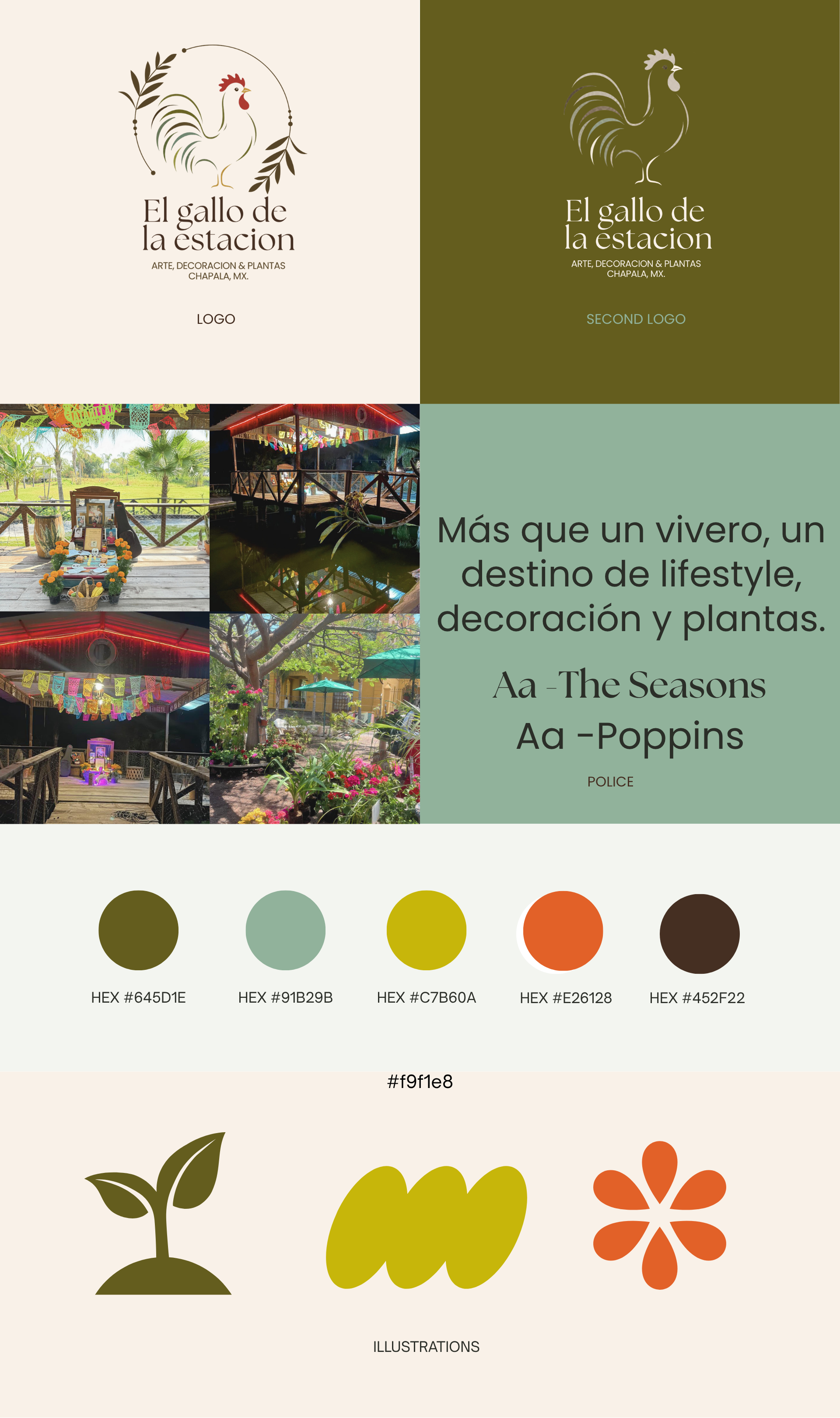 Identité visuelle, graphisme, logos, tons et proposition de style de photographie